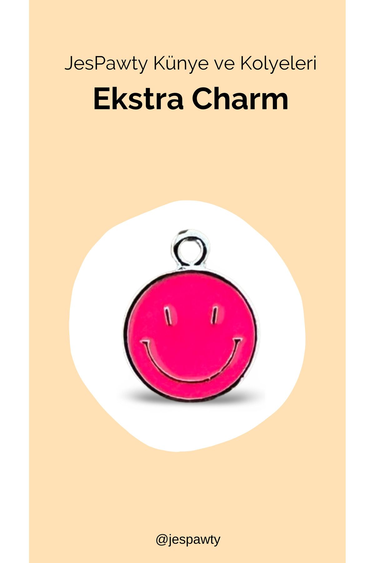 JesPawty Kolye ve Künye İle Uyumlu Charm Gümüş Renk Kaplama