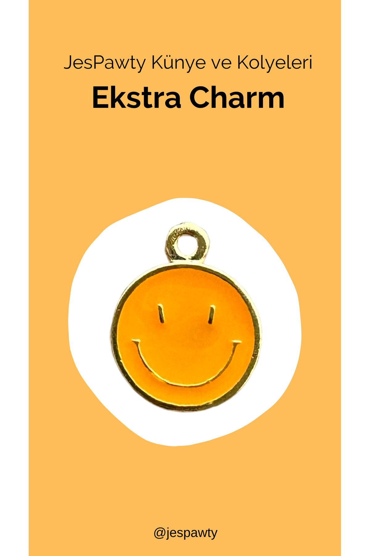 JesPawty Kolye ve Künye İle Uyumlu Charm Gümüş Altın Kaplama
