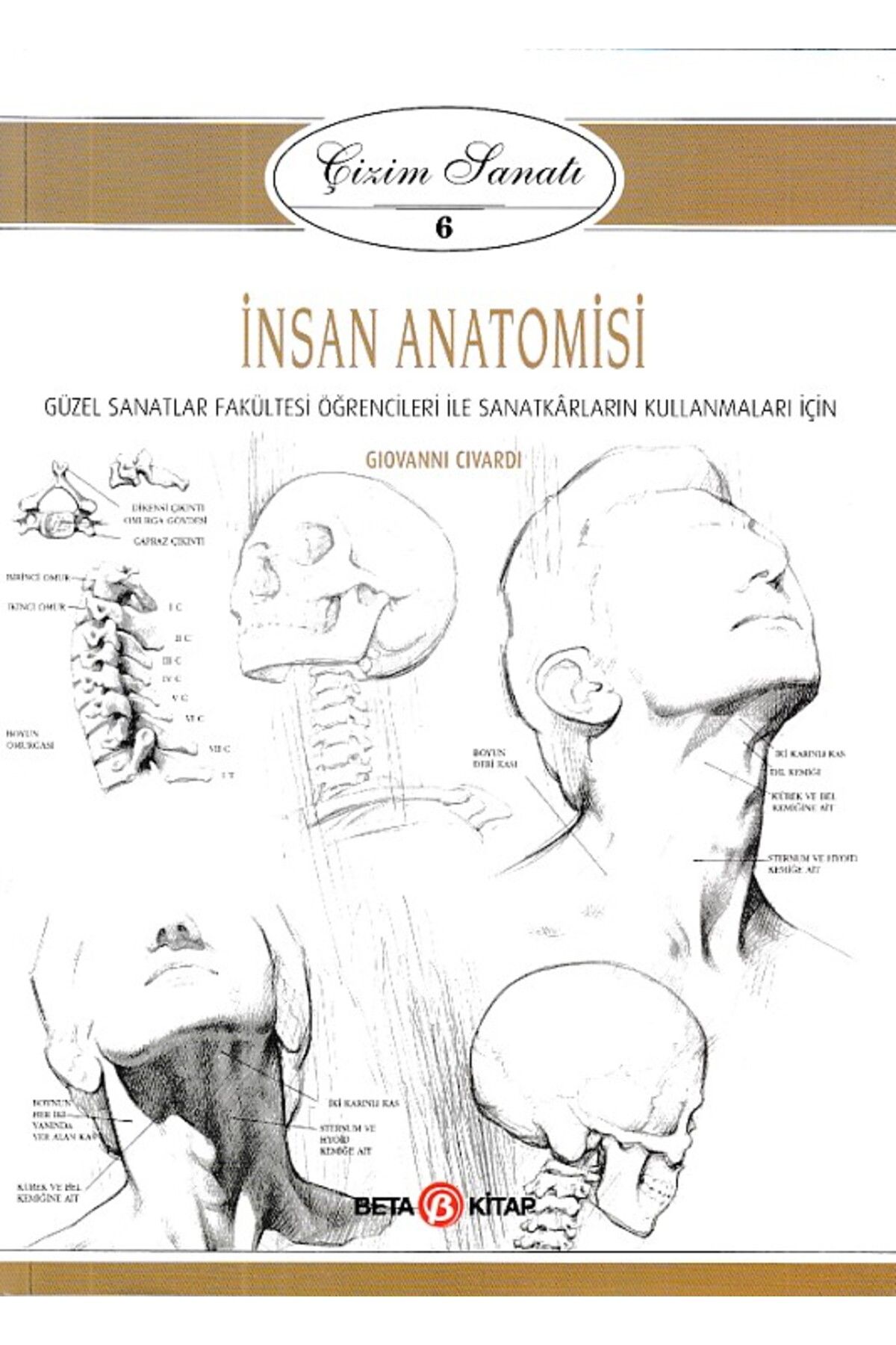 BETA byou Çizim Sanatı Serisi 6 - İnsan Anatomisi