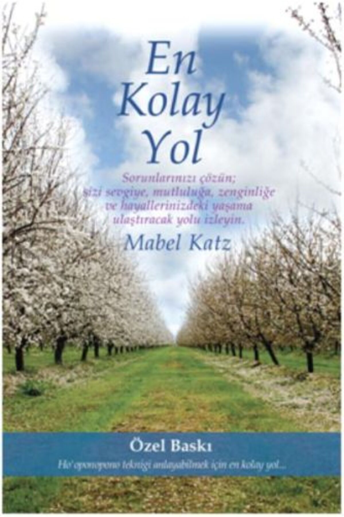 Şira Yayınları En Kolay Yol