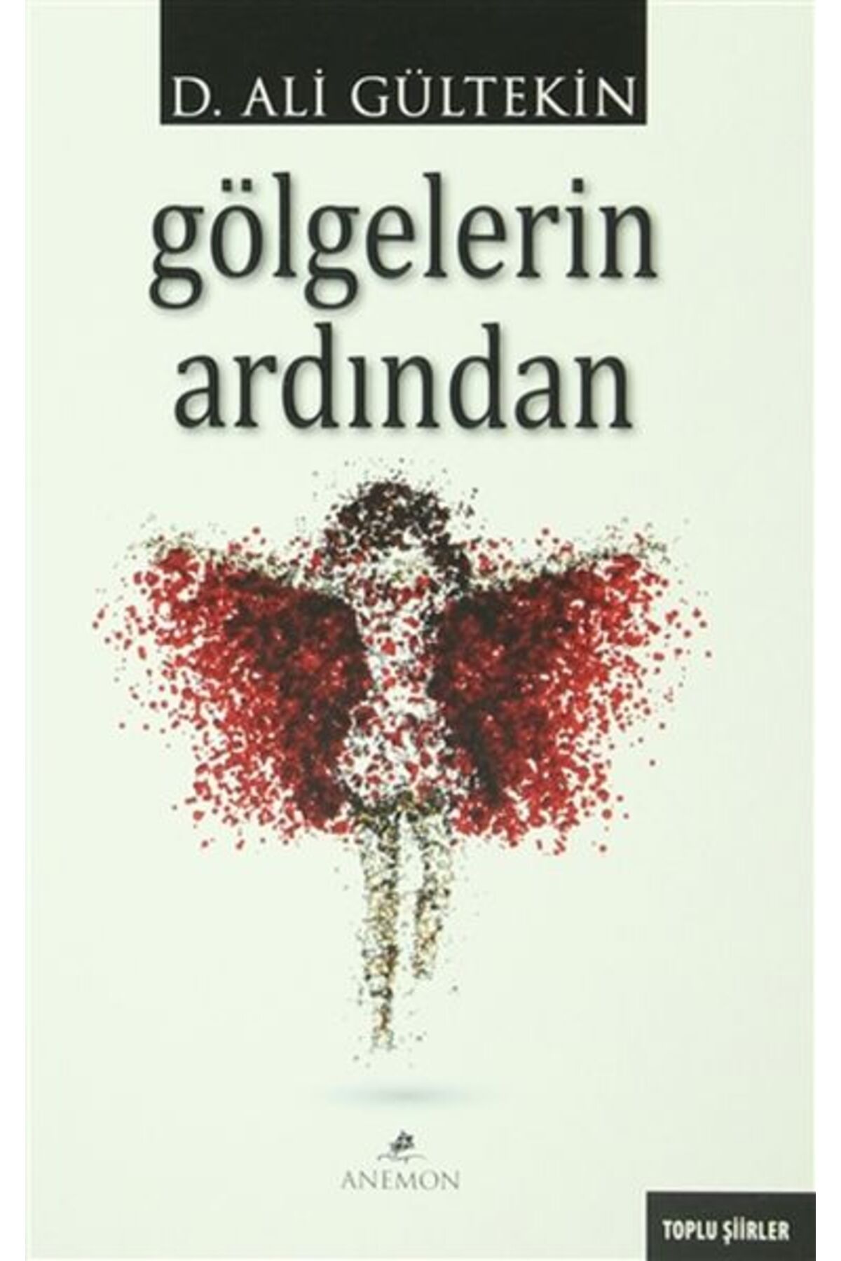 Anemon Yayınları Gölgelerin Ardından