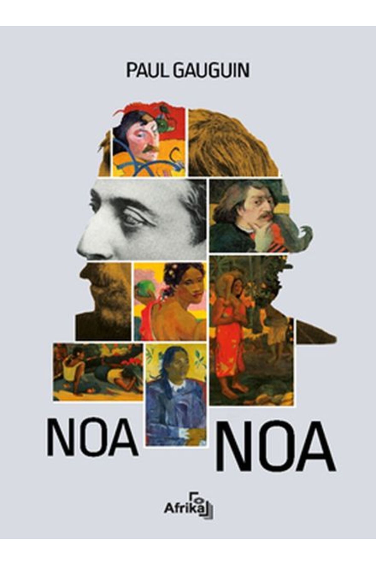 Destek Yayınları Noa Noa