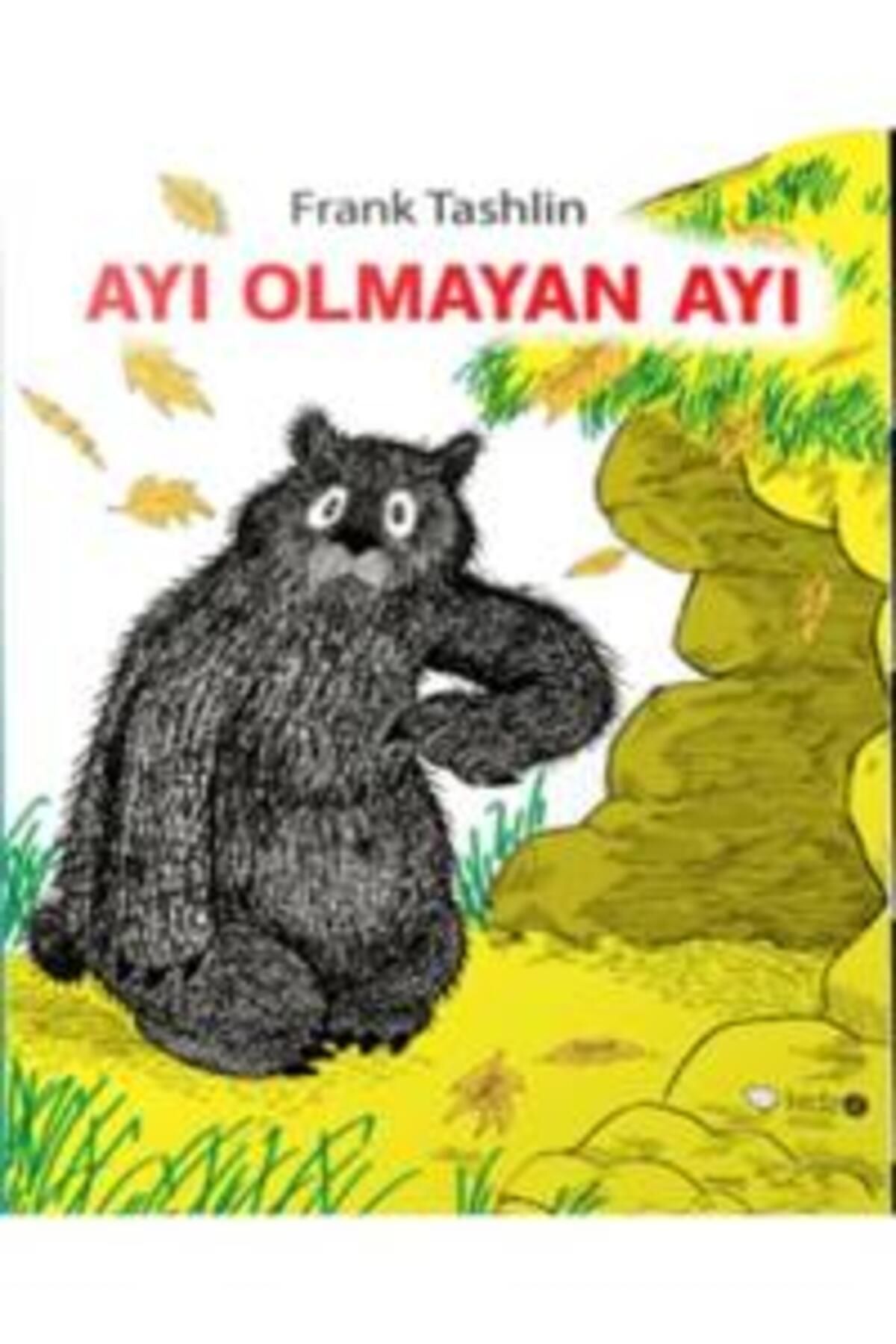 Genç Destek Ayı Olmayan Ayı
