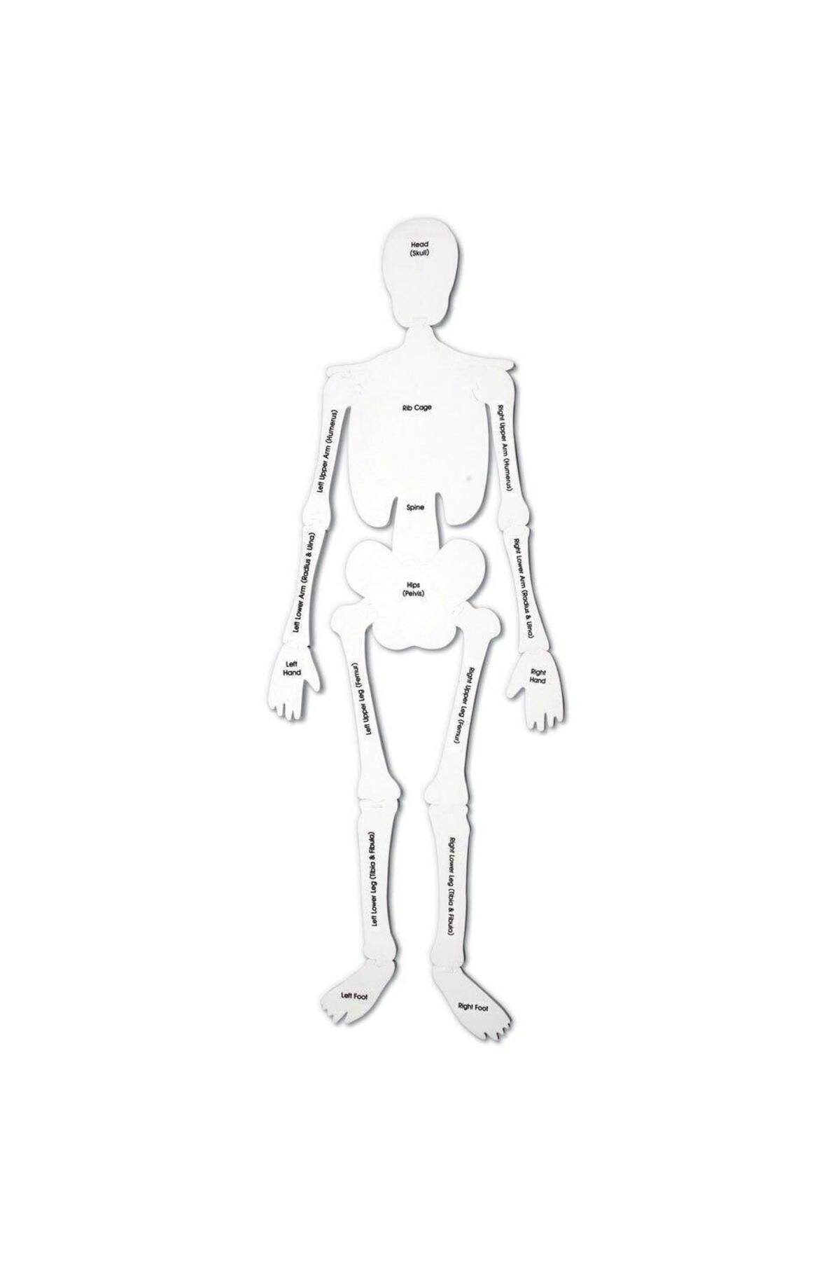 Learning Resources-Floor puzzle - skeleton 4