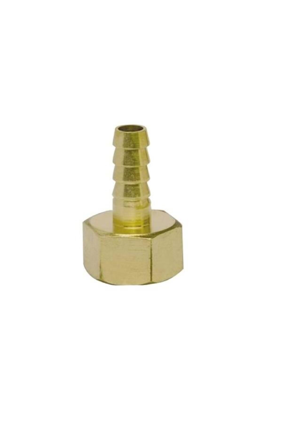Elioure TR St901 Hortum Rekoru Dişi 1/4x8 Pirinç
