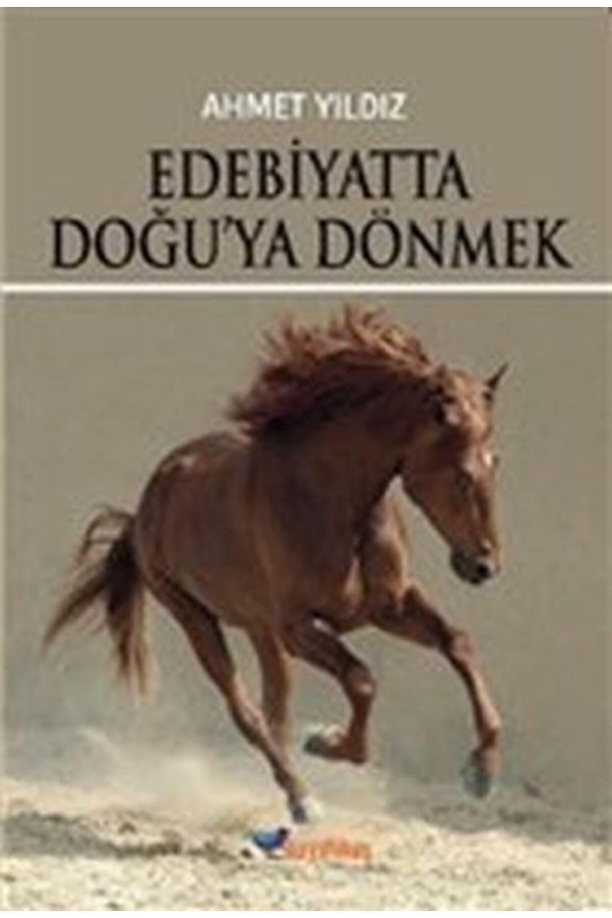Boyalıkuş Yayınları Edebiyatta Doğu'ya Dönmek