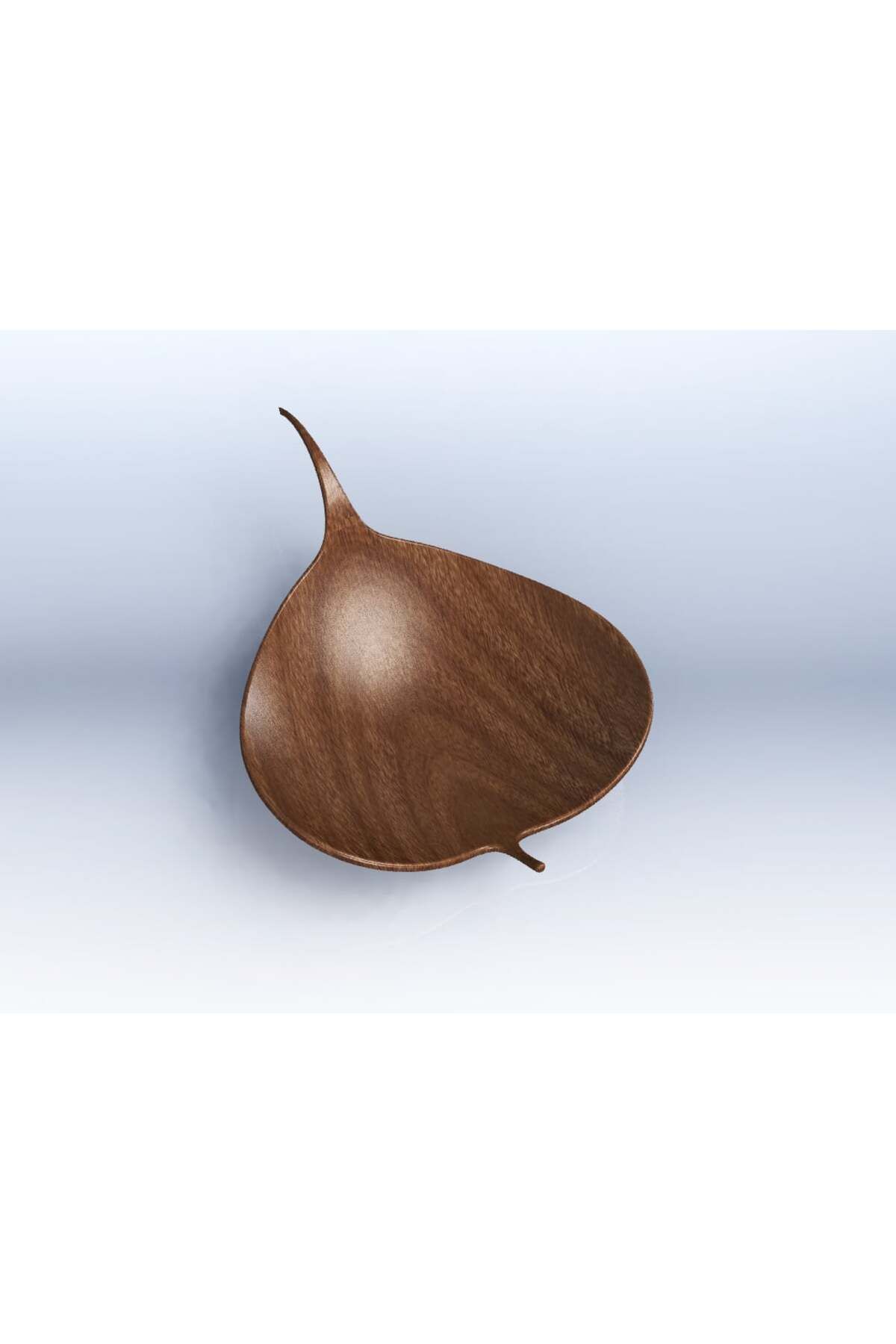 talaşoğlu Bodhi yaprağı yosun ekici