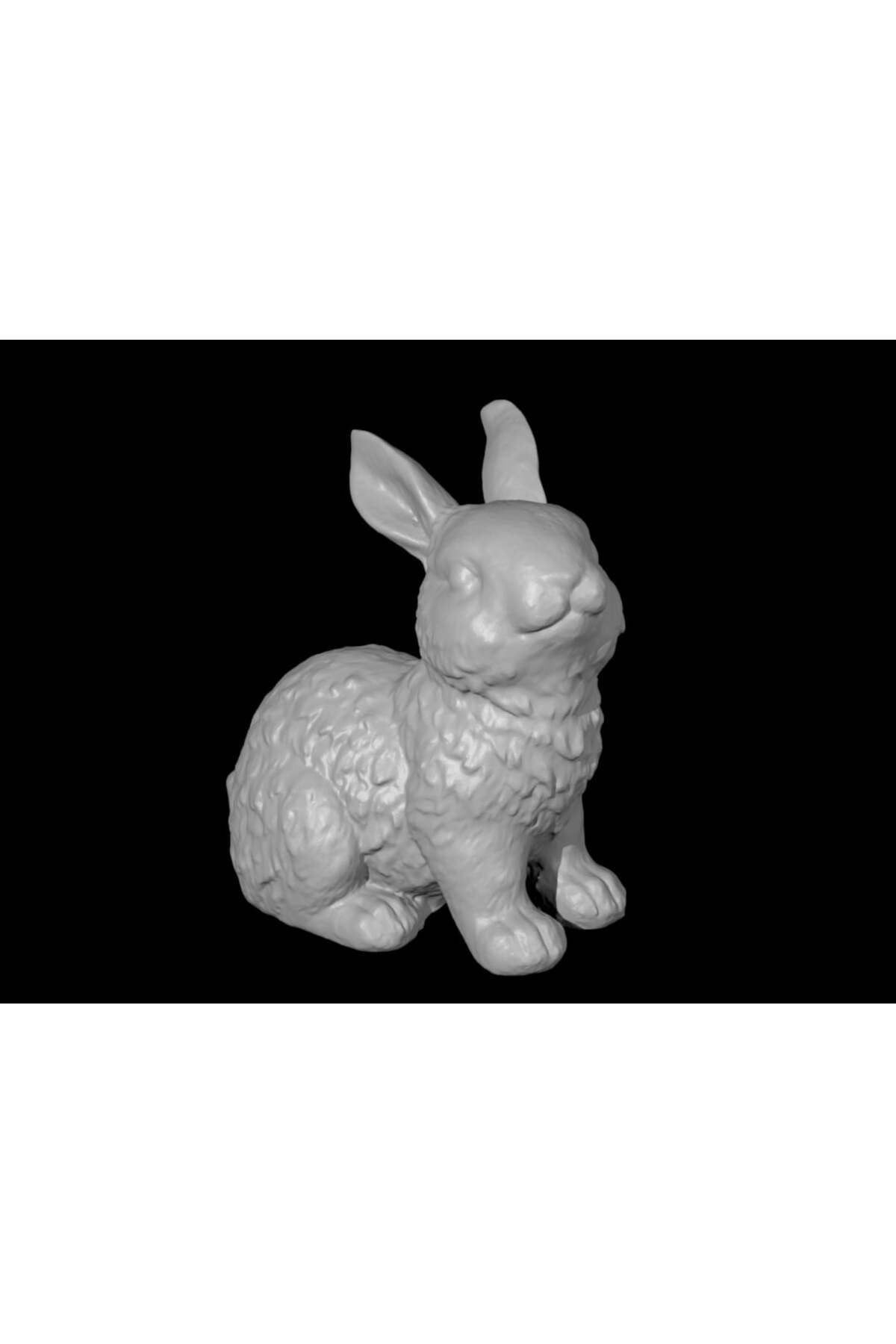 Vision Craft Sevimli tavşan - 3D tarama