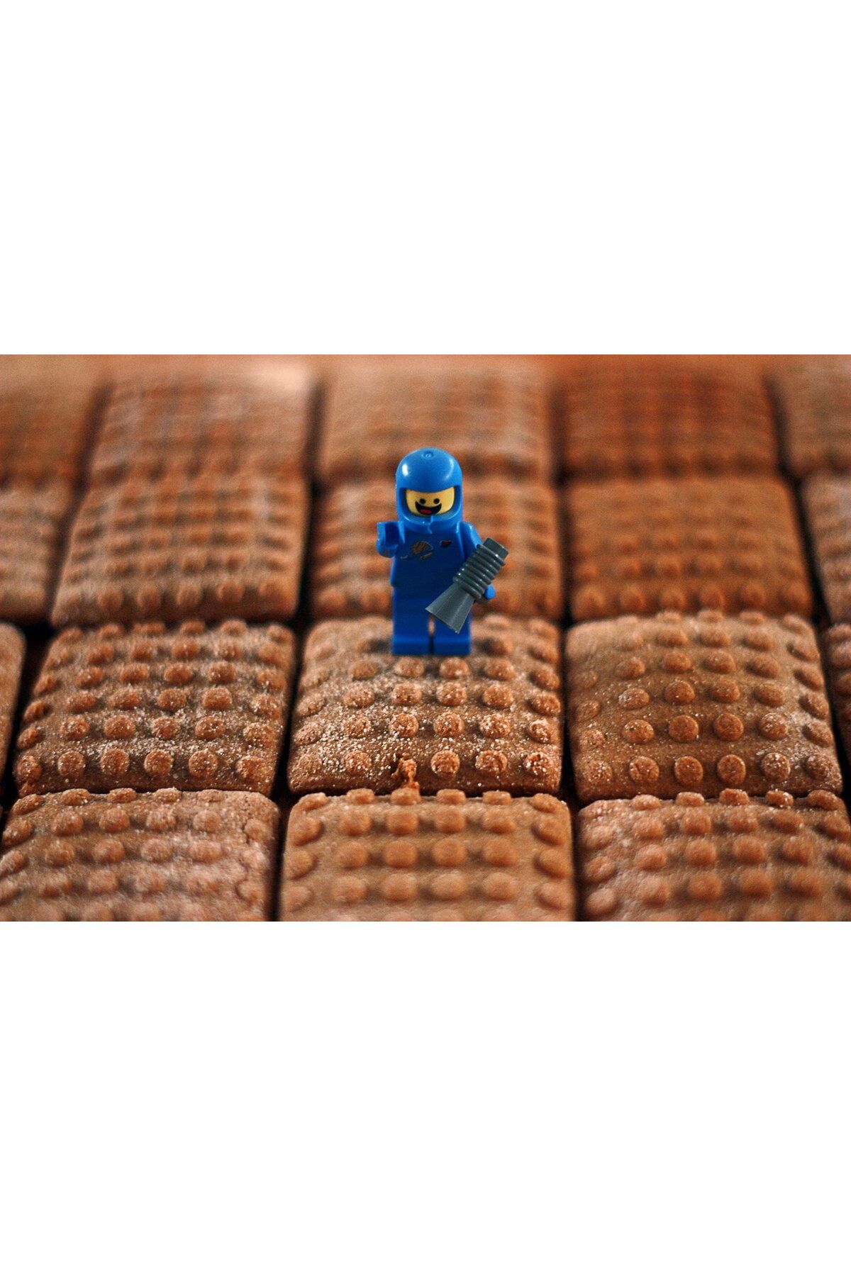 talaşoğlu LEGO [Yarı] Uyumlu Çerez Kesici 3958