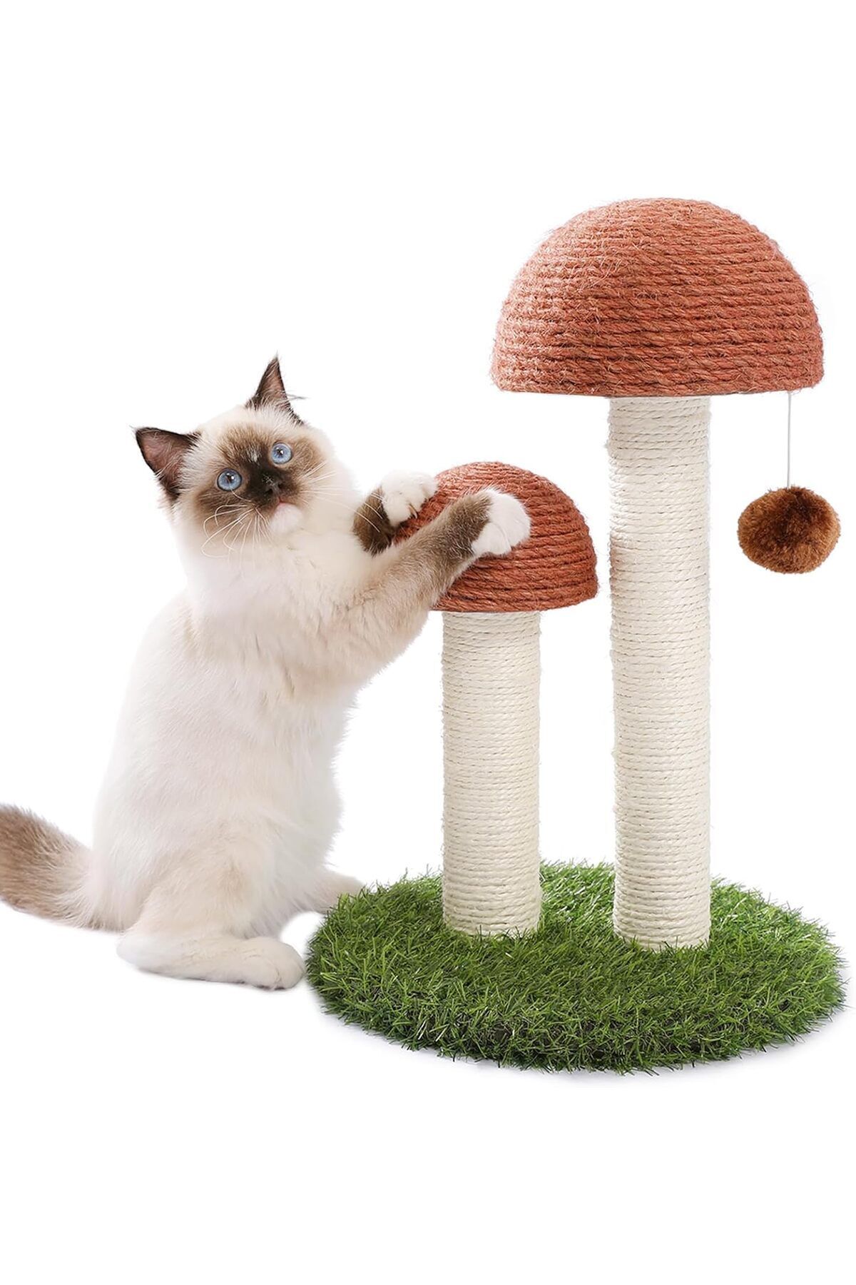 Saharaz-Cat Scratching Post,With Scratching Poles and Interactive Toy Ball for Kittens and Small Cats 5