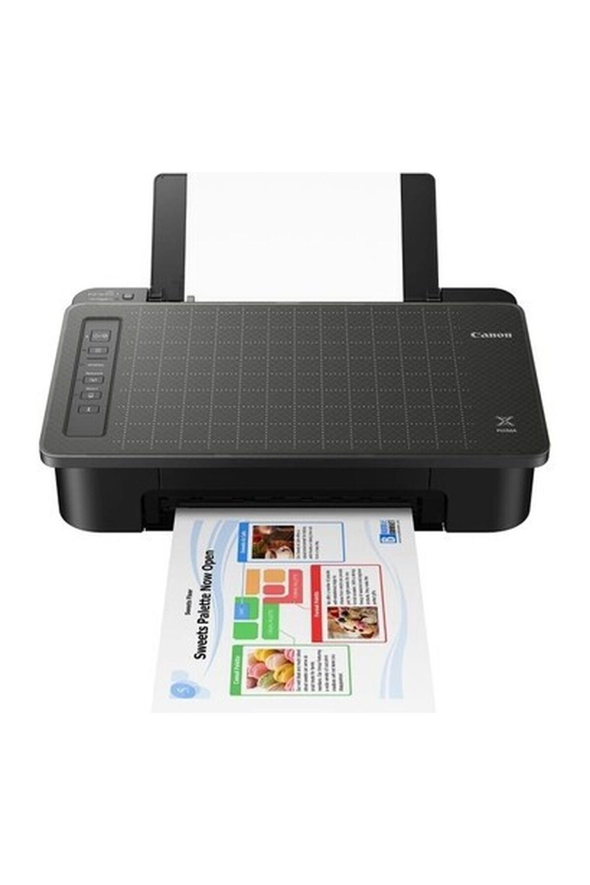 Canon TS302 Kablosuz Mürekkep Püskürtmeli Yazıcı