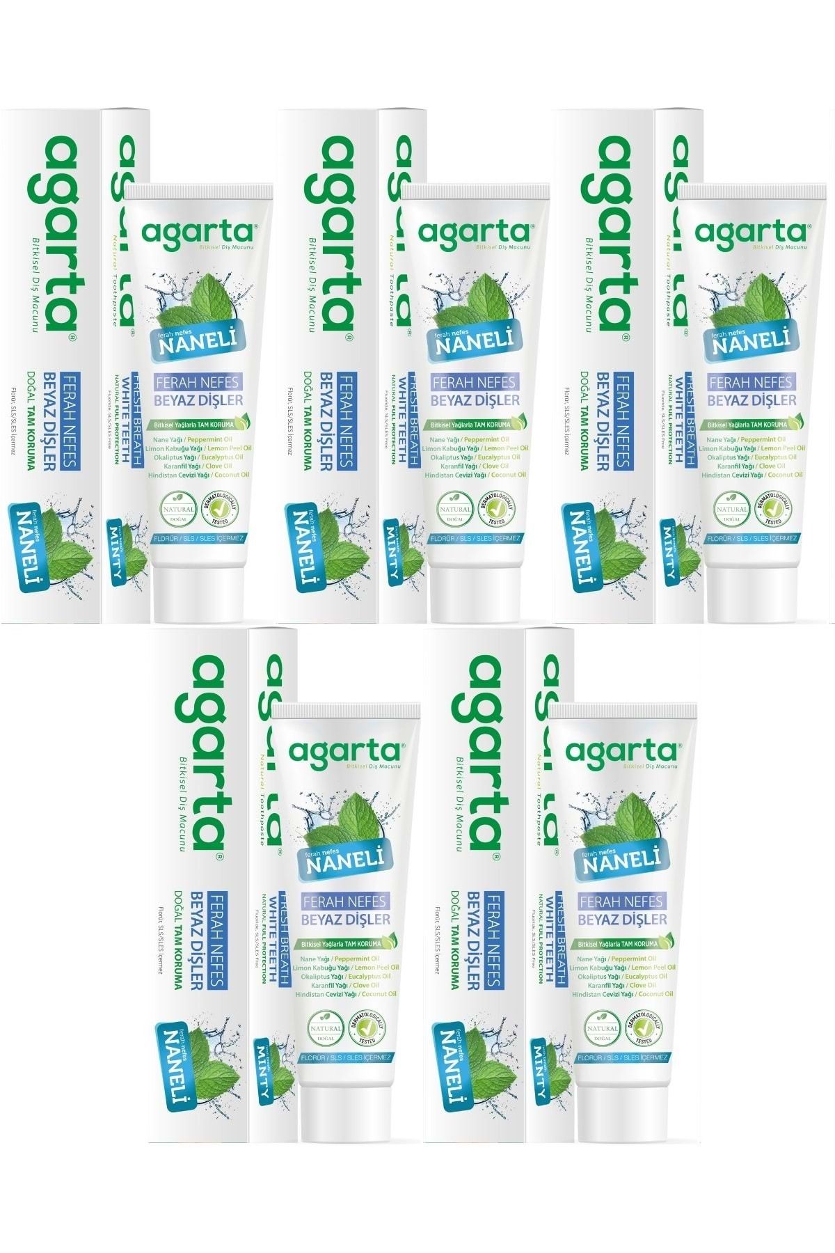 Agarta Doğal Diş Macunu 100ML Naneli (5 Li Set)