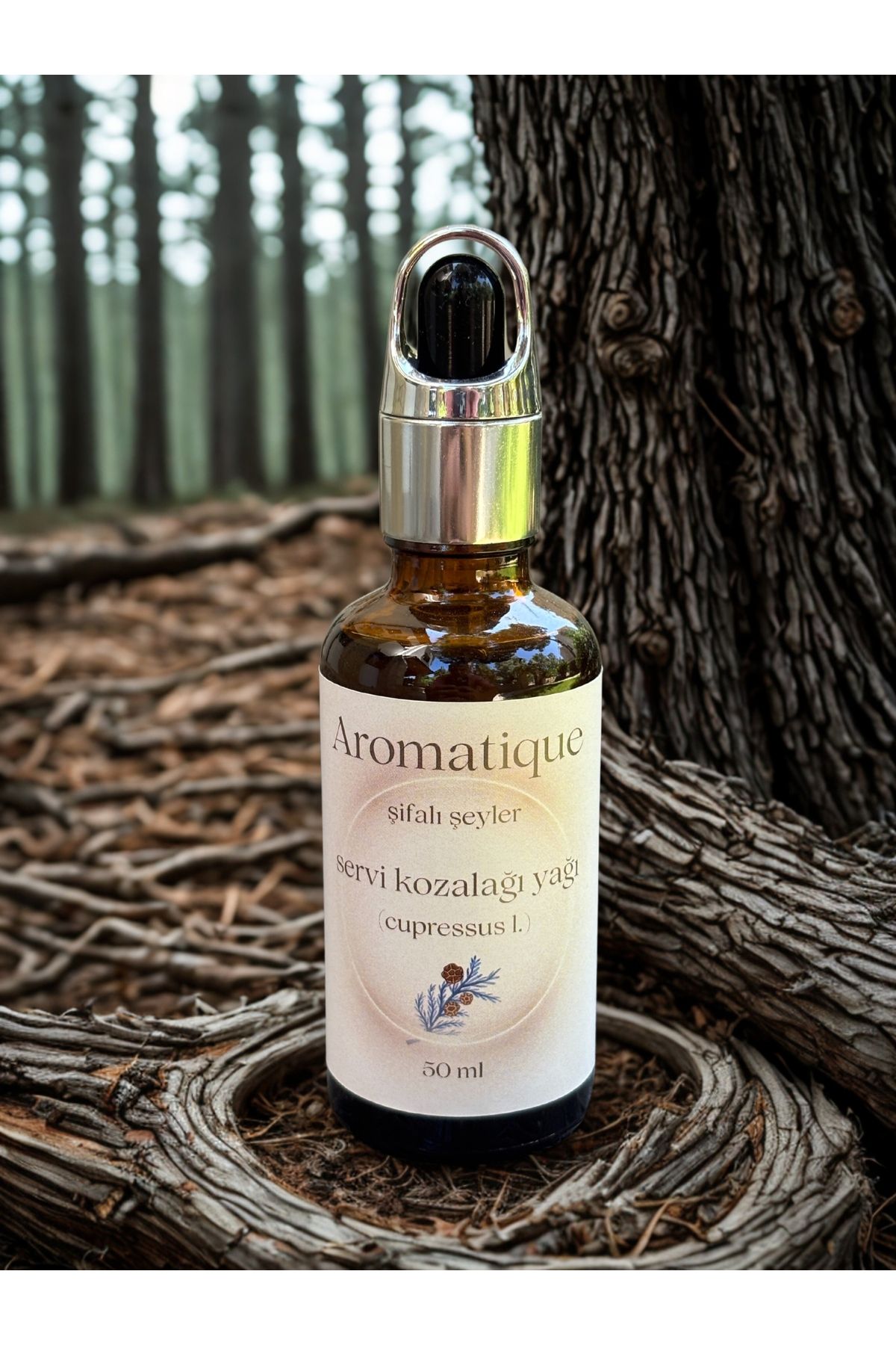 Aromatique Servi Kozalağı Yağı