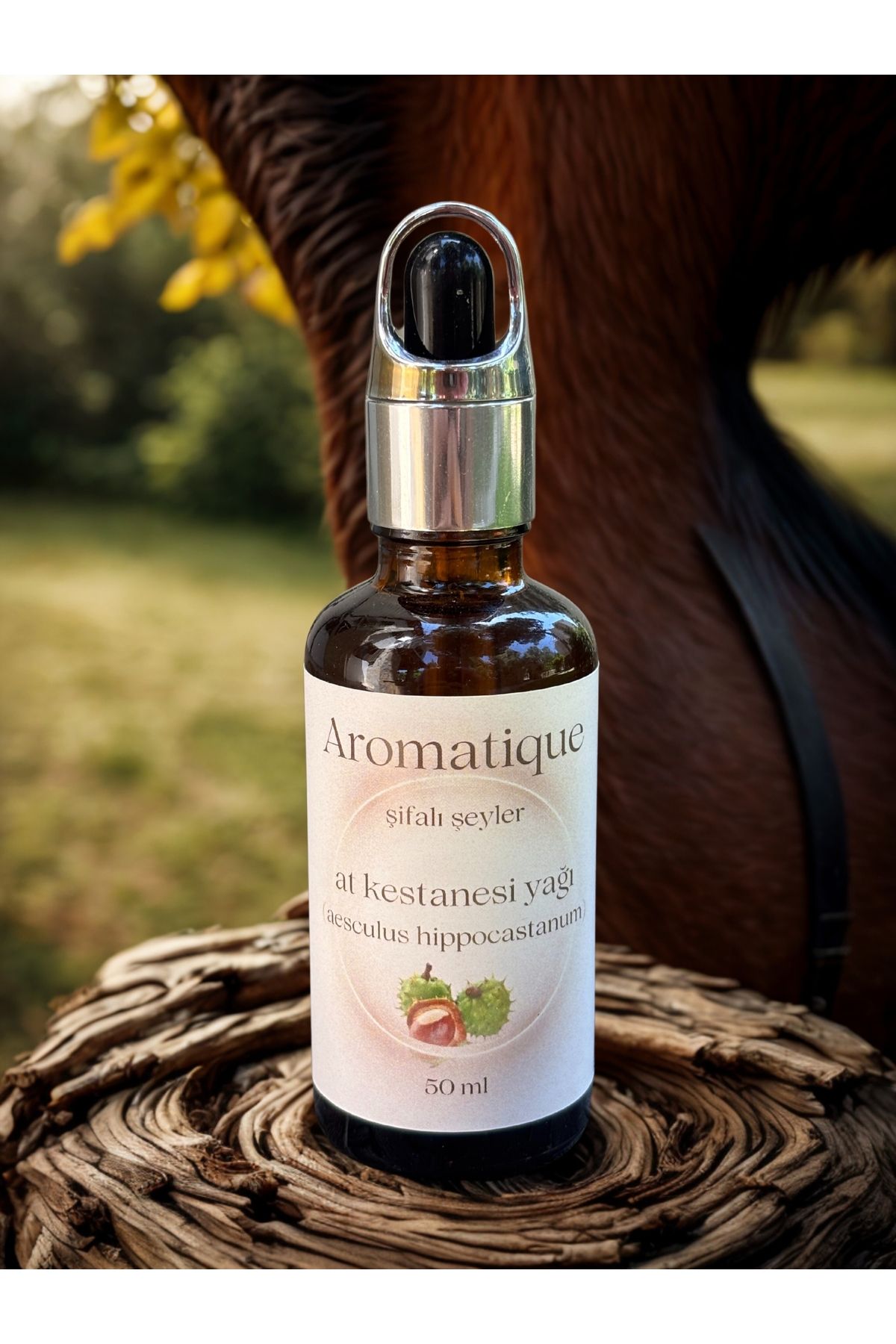 Aromatique At Kestanesi Yağı