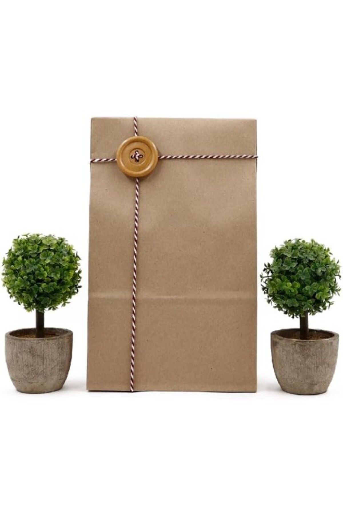 ShopZum 15X29 Kraft Renk Hediyelik Kese Kağıdı (10'Lu Set)