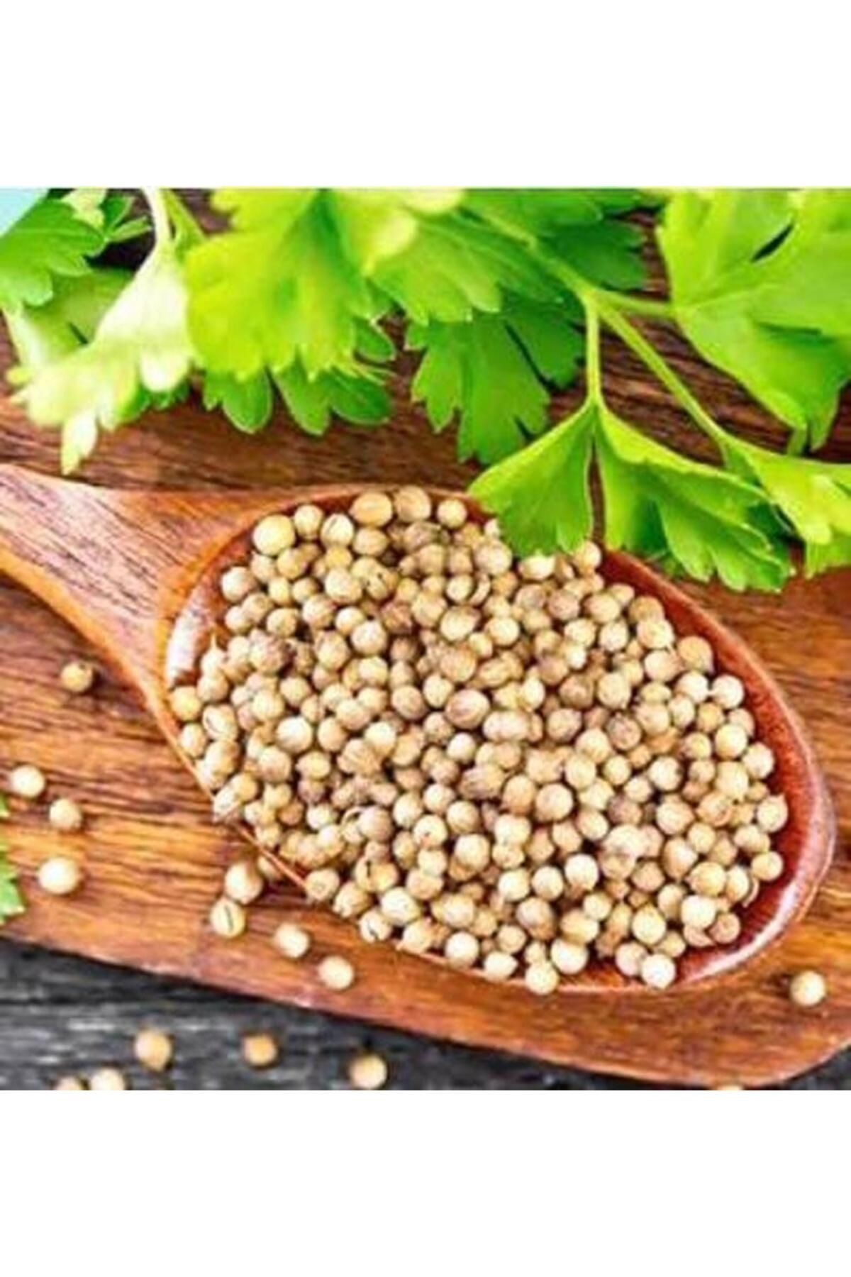 SİLİFKE MARKET Kişniş (Aşotu) Tohumu 250 gr