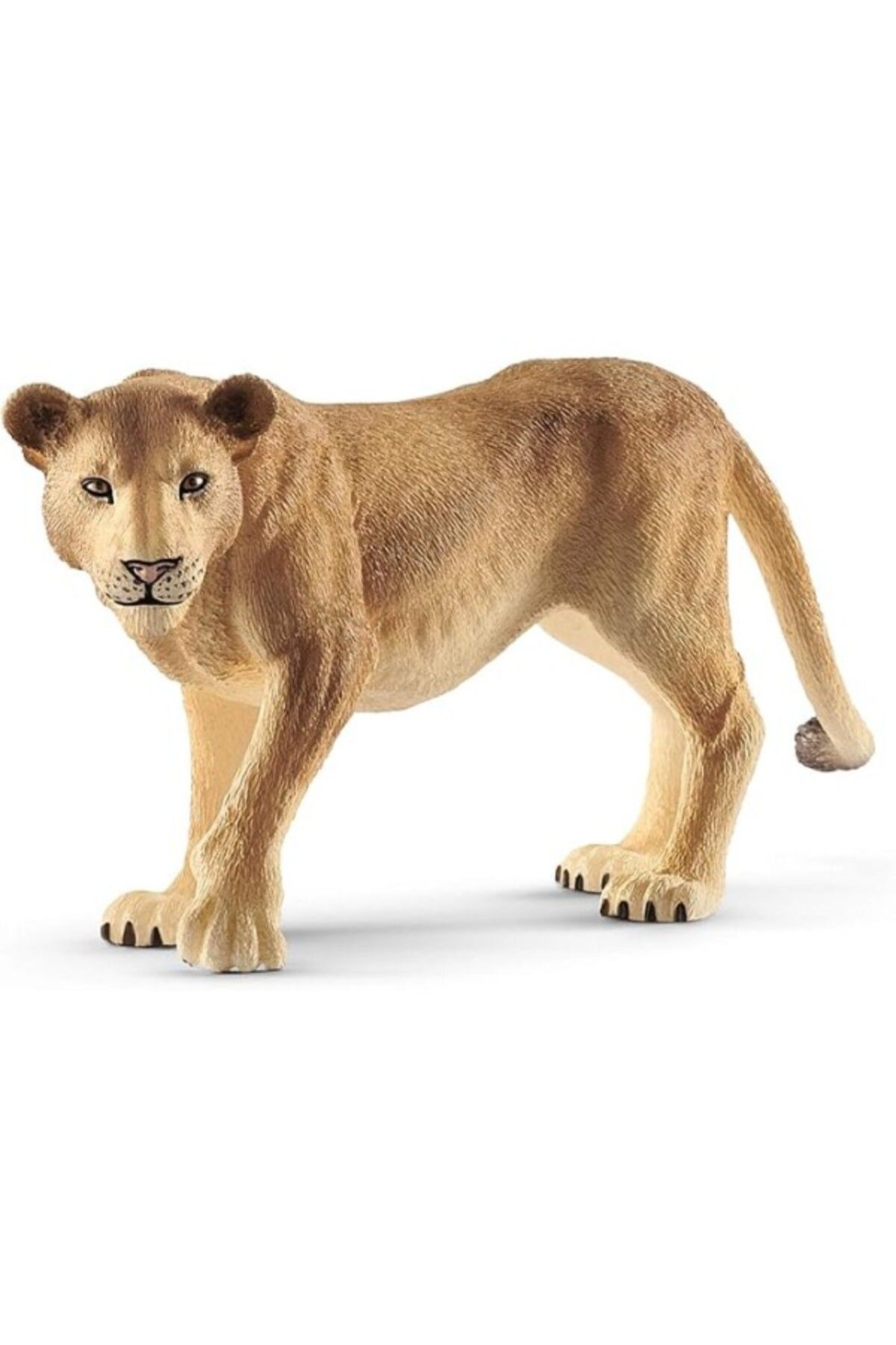 ShopZum Schleich 14825 - Löwin, Renkli