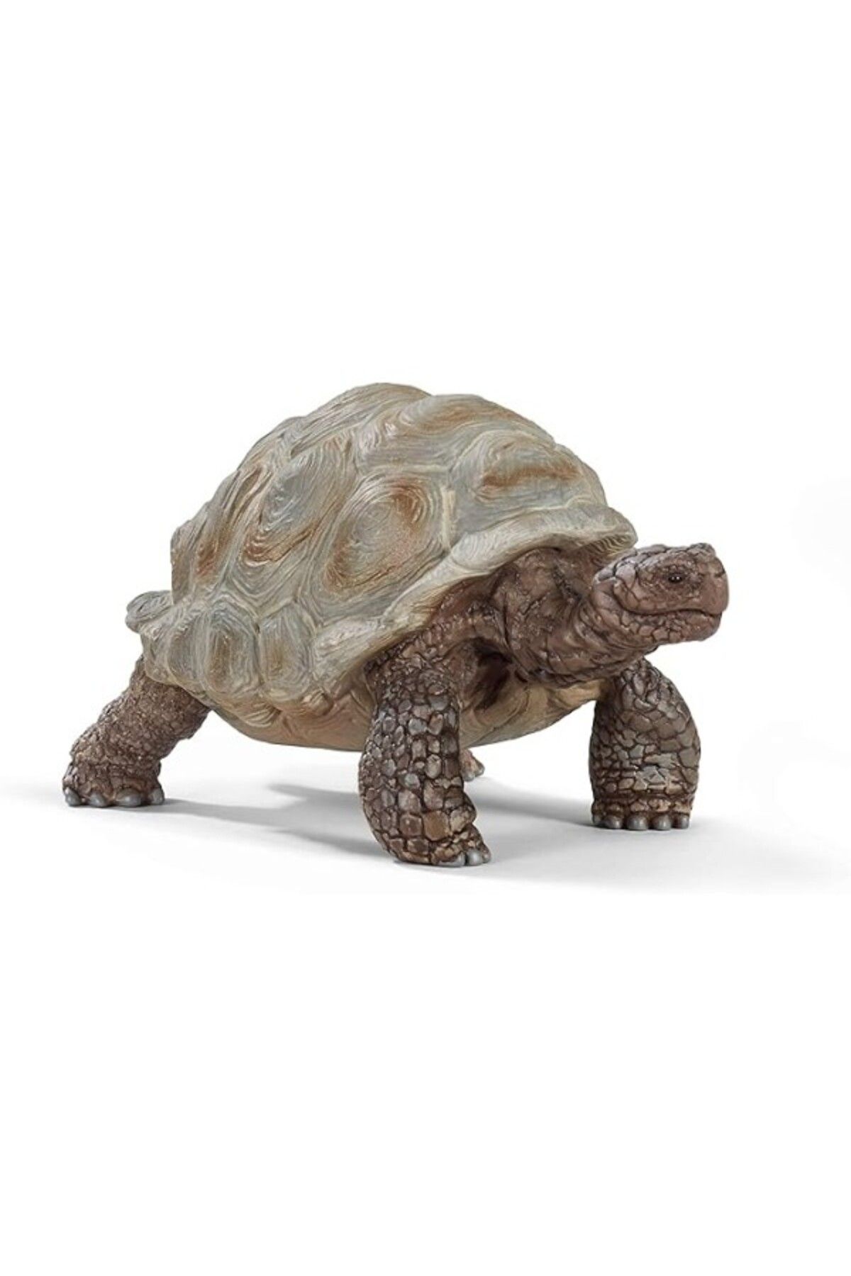 ShopZum Schleich Dev Tosbağa