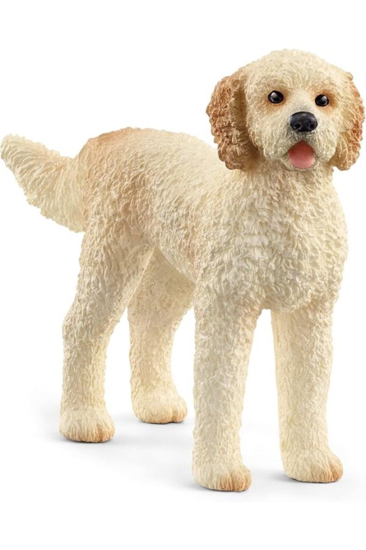 ShopZum Goldendoodle