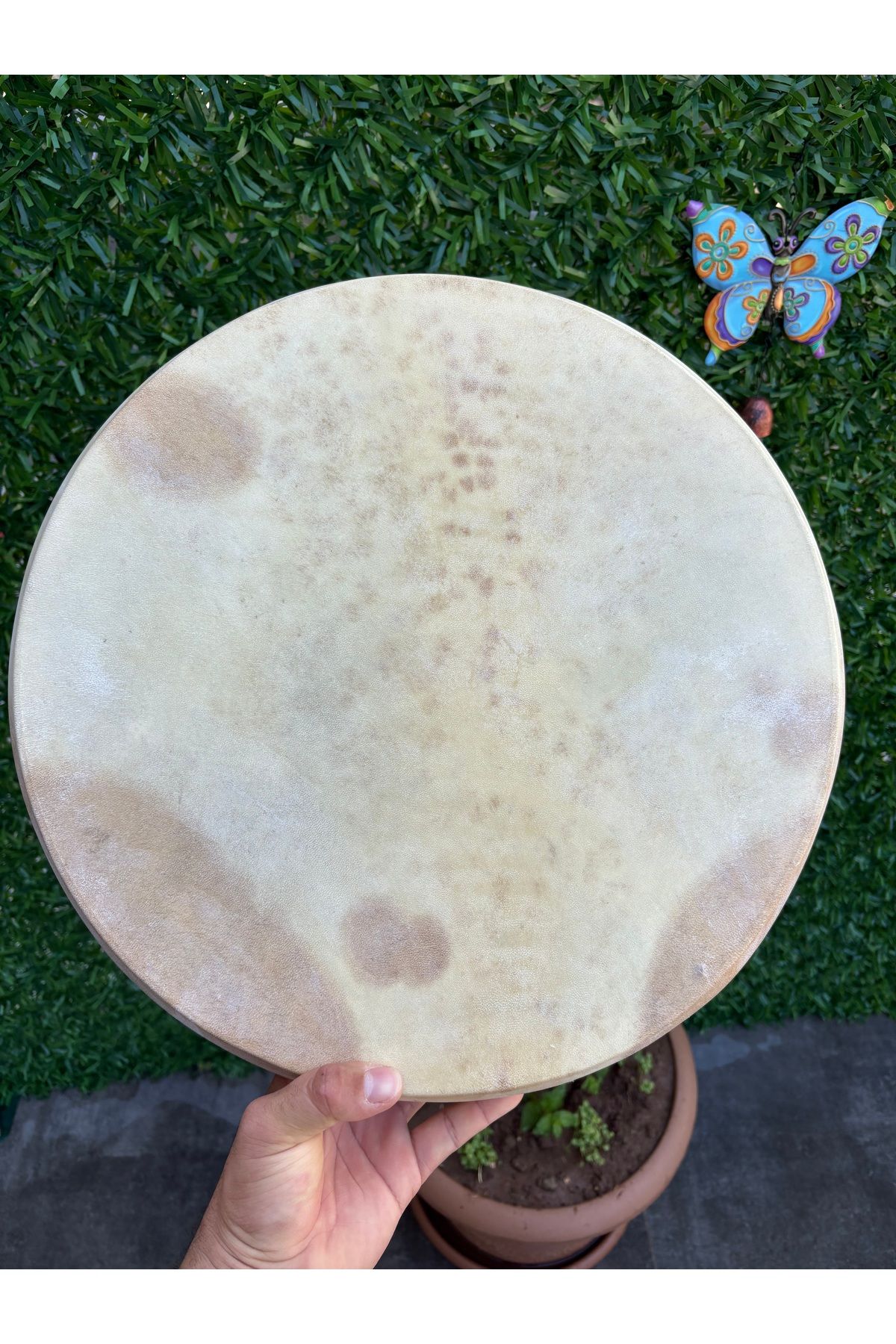Elefra Percussion Havalı bendir Diğer Enstrümanlar