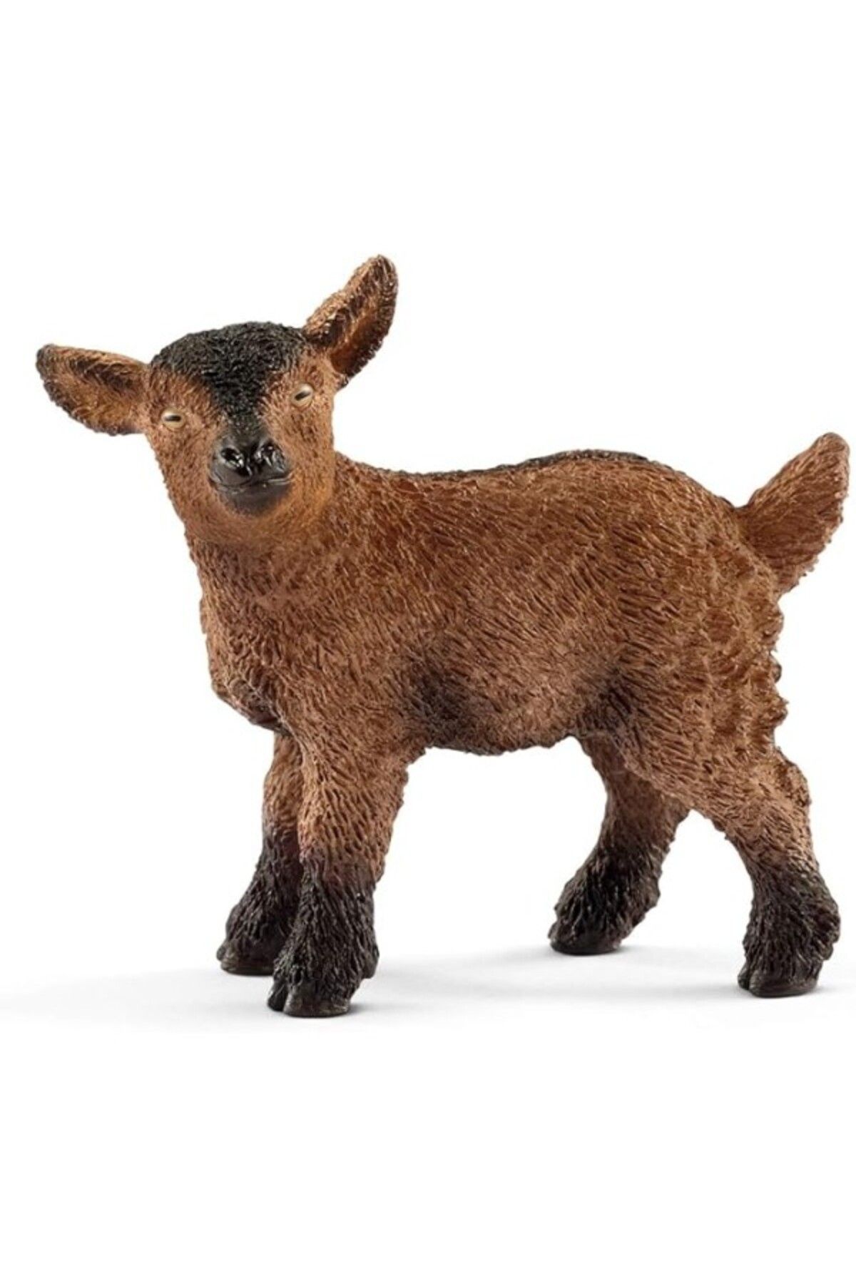 ShopZum Schleich Yavru Keçi