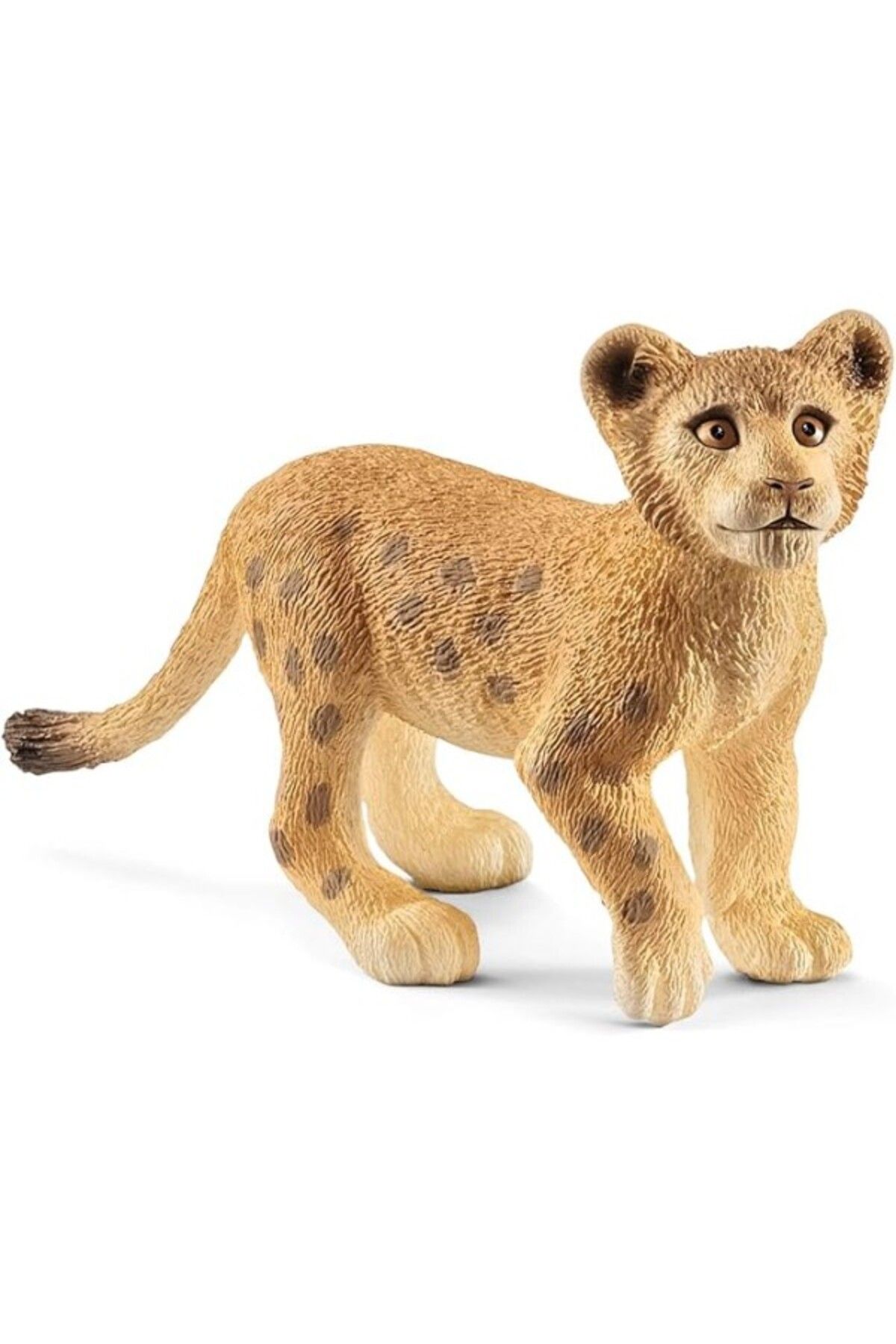 ShopZum Schleich Wild Life Yavru Aslan