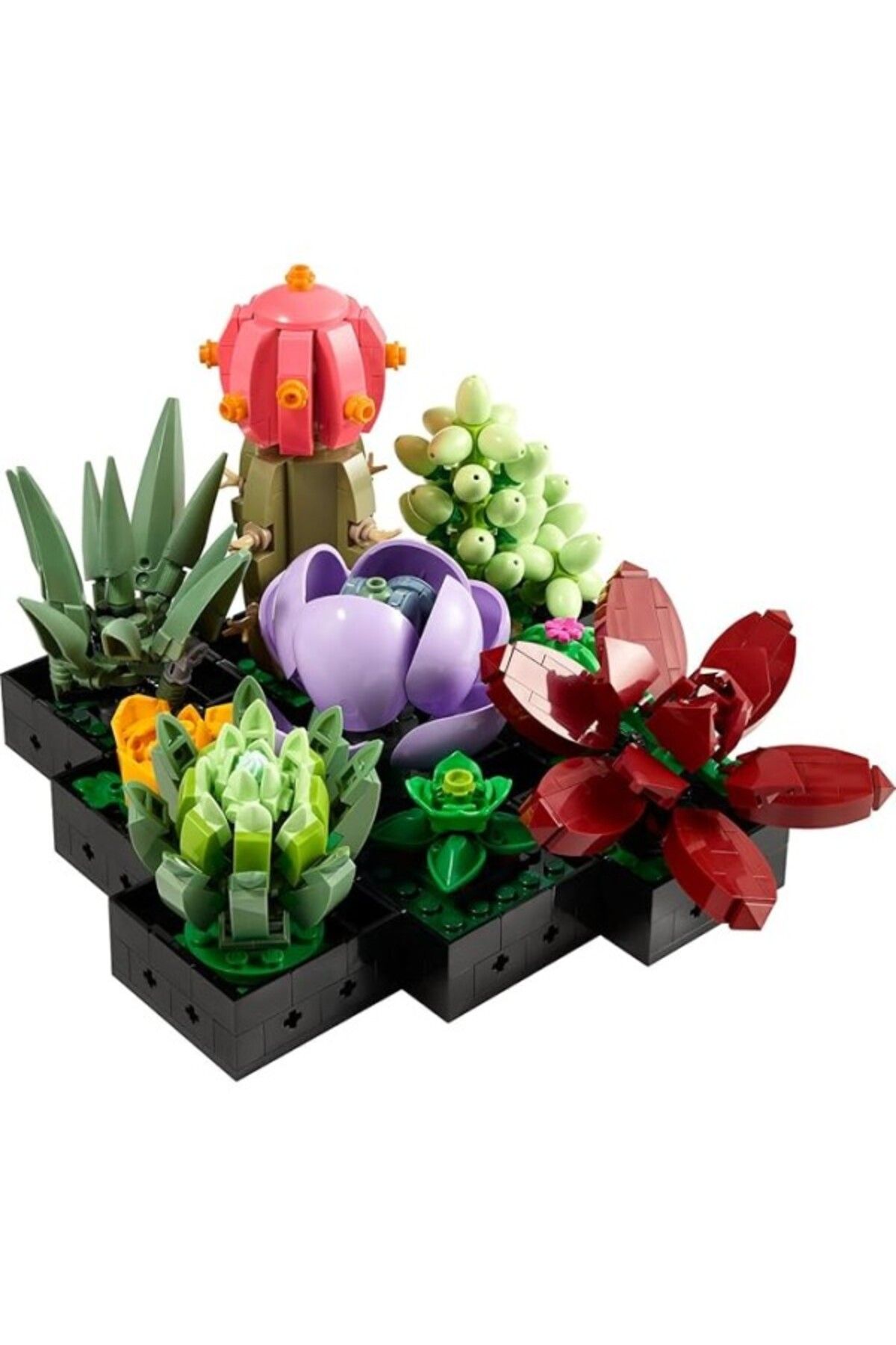 ShopZum Icons Sukulentler 10309 - Yetişkinler İçin Botanik Koleksiyonunun Tamamlayıcısı