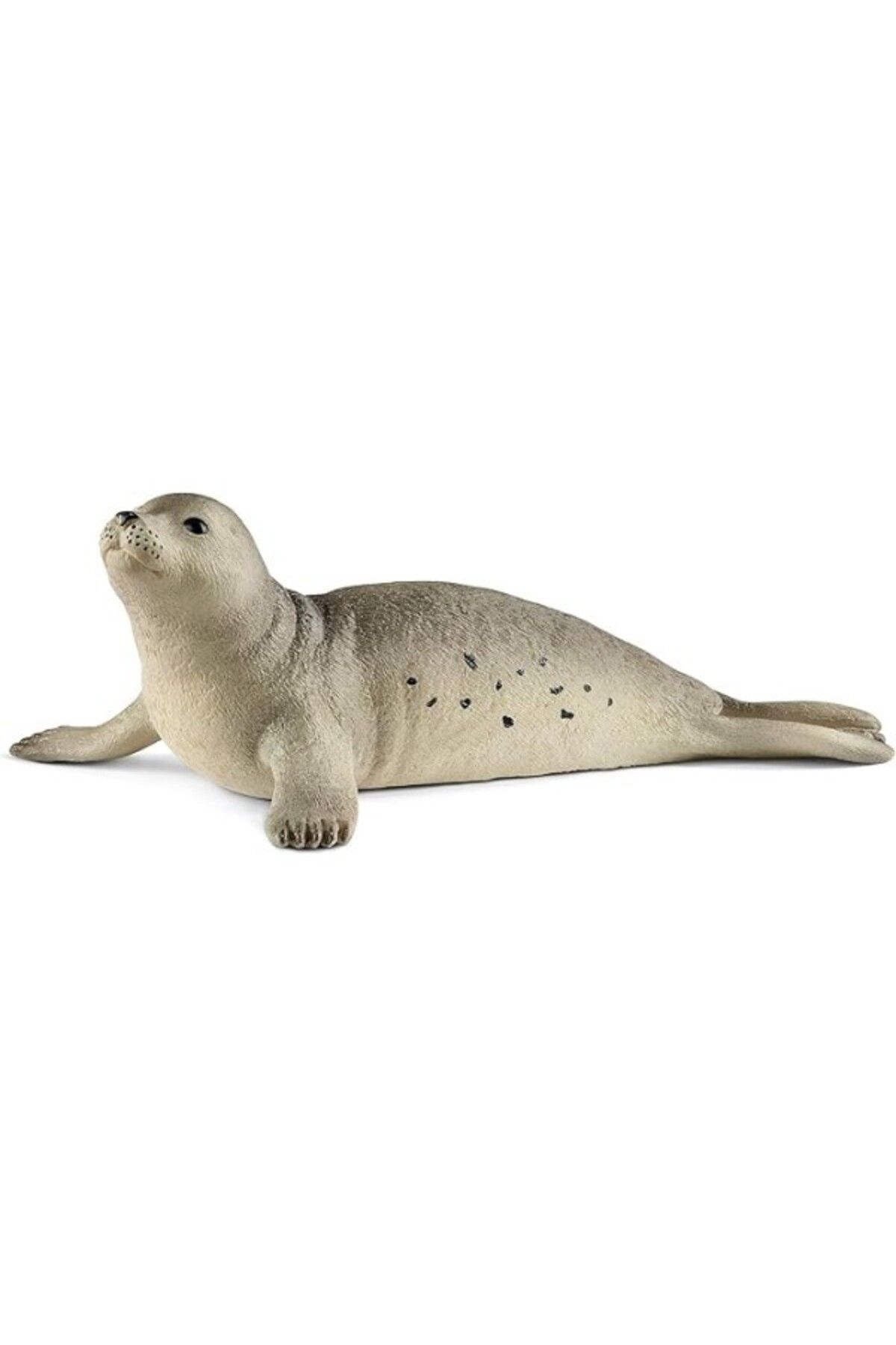 ShopZum Schleich 14801 Fok Oyuncak Figürü, Çok Renkli