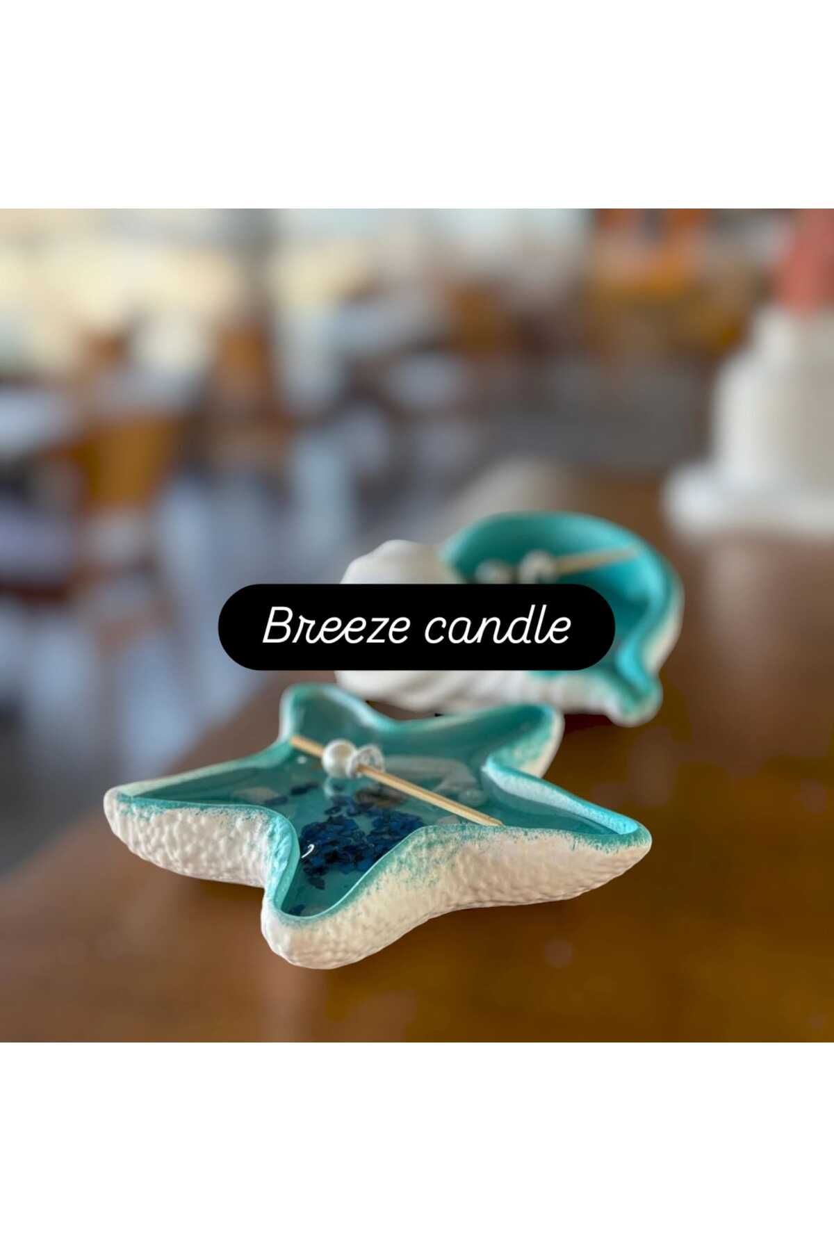 Breeze Candle : Ev , Ofis Dekarasyonu Için (Deniz Yıldızı,istiridye) & Okyanus Temalı Jel Mum.