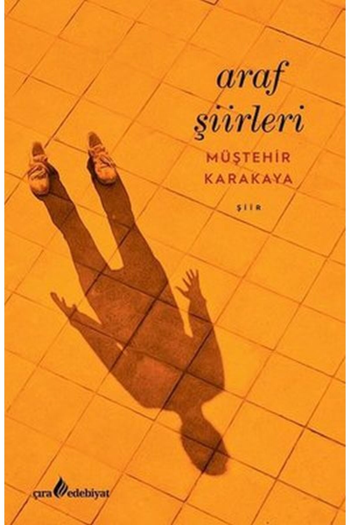 Destek Yayınları Araf Şiirleri
