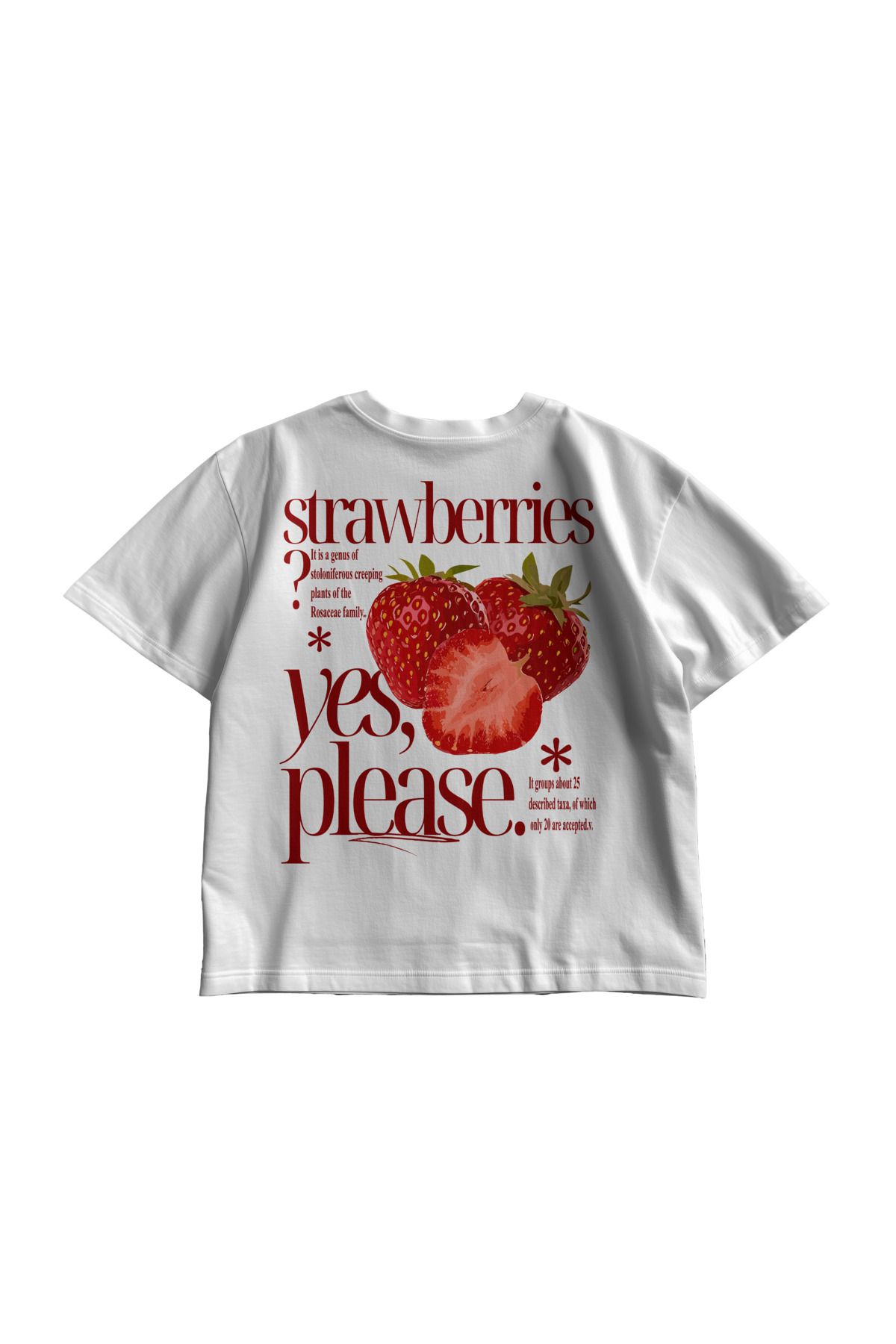 TresMonos Strawberries Baskılı Oversize Kısa Kollu Pamuklu Unisex Beyaz Tişört