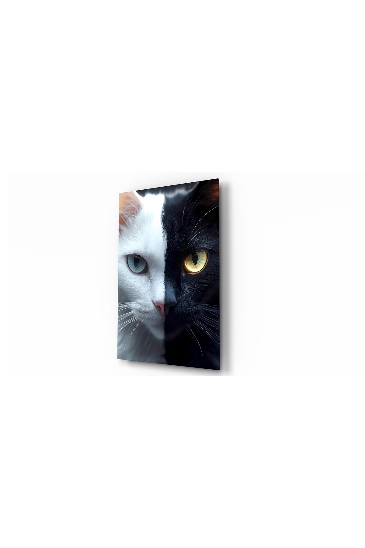 Evlika Kedi Siyah-Beyaz Hayvan Temalı Dekoratif Cam Tablo, Duvar Dekoru H0024