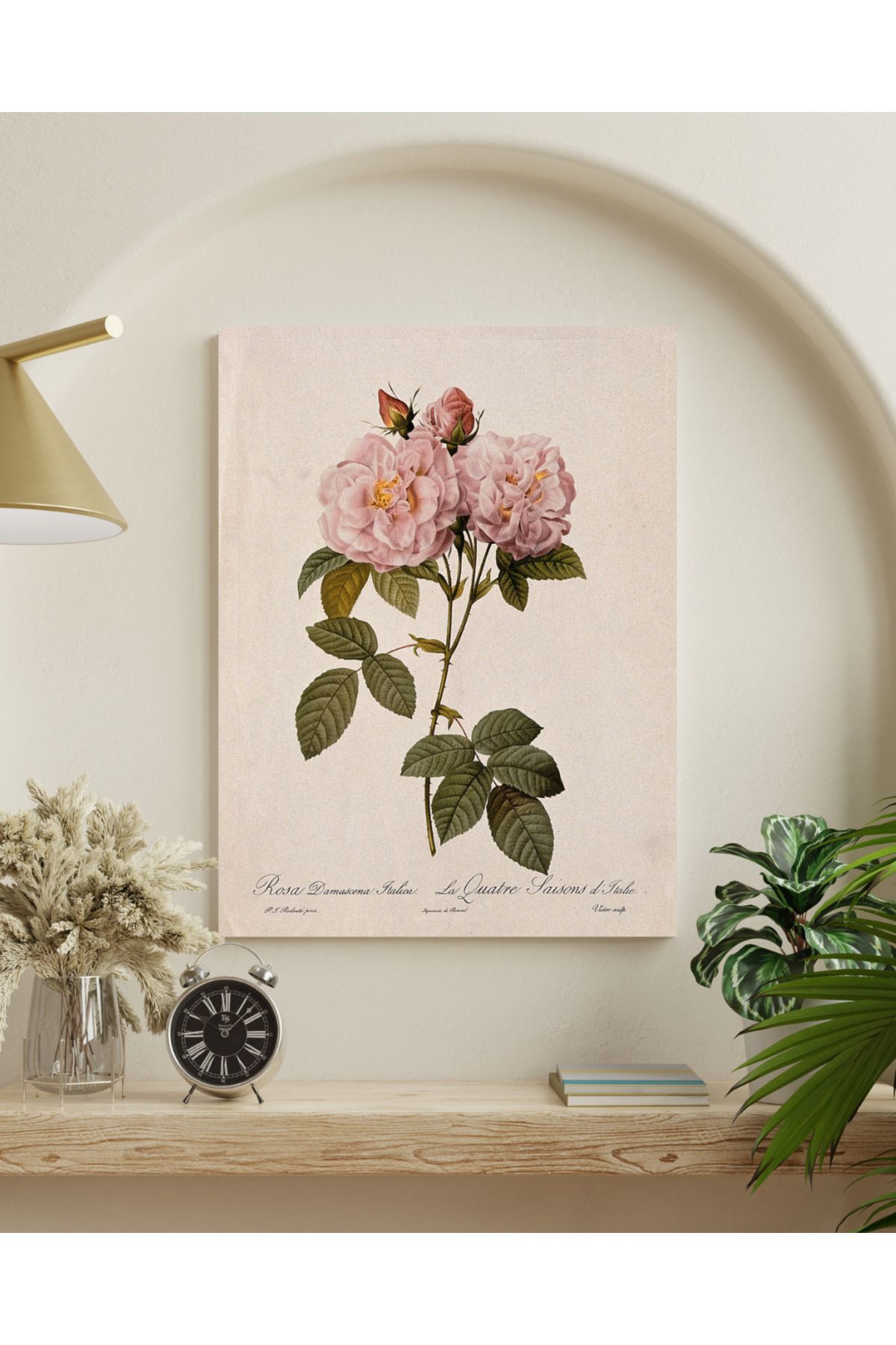 MODA Vintage Botanik Gül İllüstrasyonu Pleksi Tablo – Rosa Damascena Çiçek Duvar Dekoru