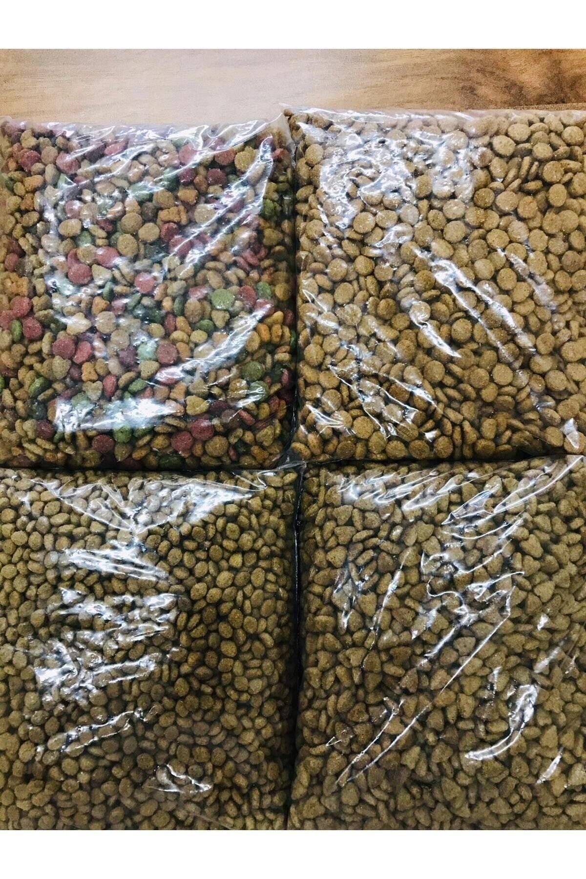 GÜLEN MARKET ASR MARKET Kedi Kuru Mama Karma 1,5 Kg