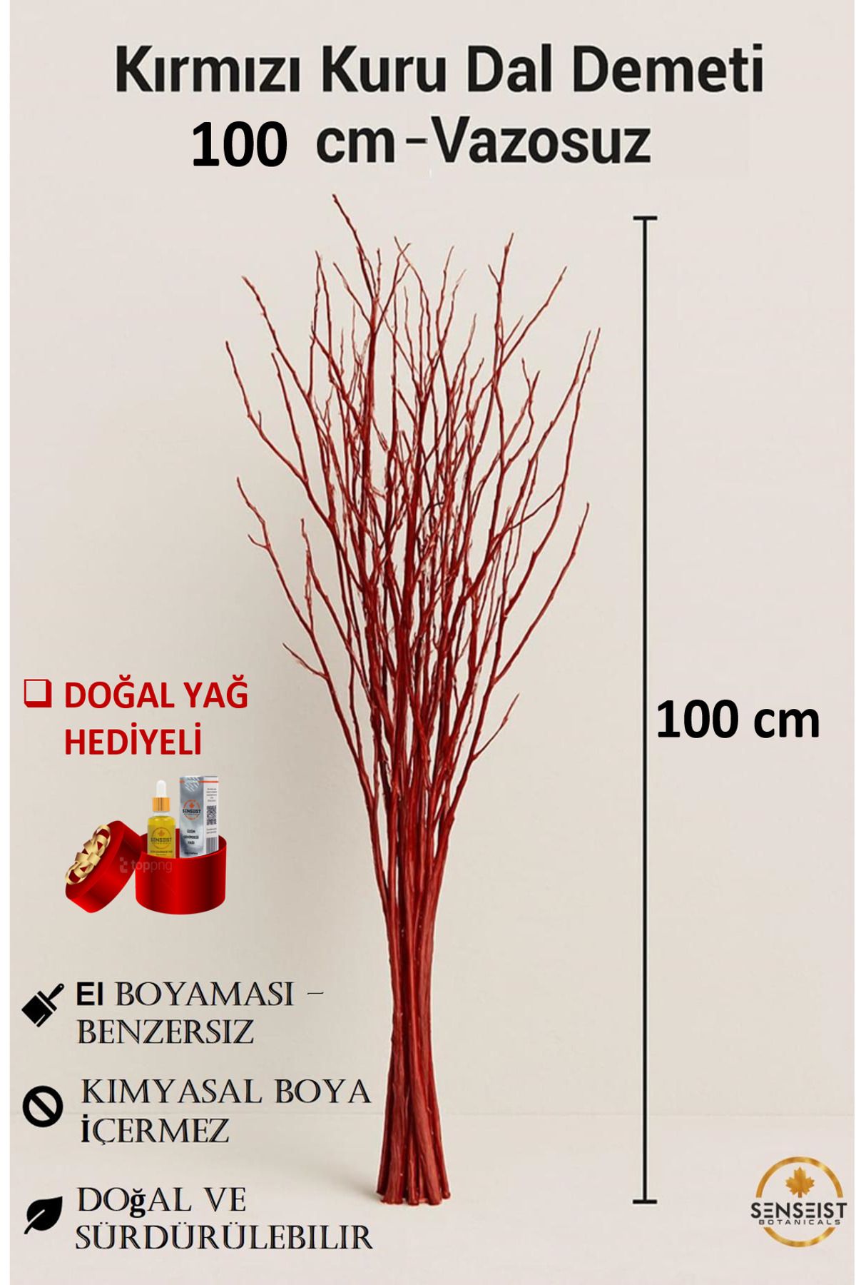 Senseist Botanicals Gerçek Kurutulmuş Ağaç Dalı Demeti | Kırmızı El Boyaması | 100 cm | Doğal Dekoratif Kuru Dal