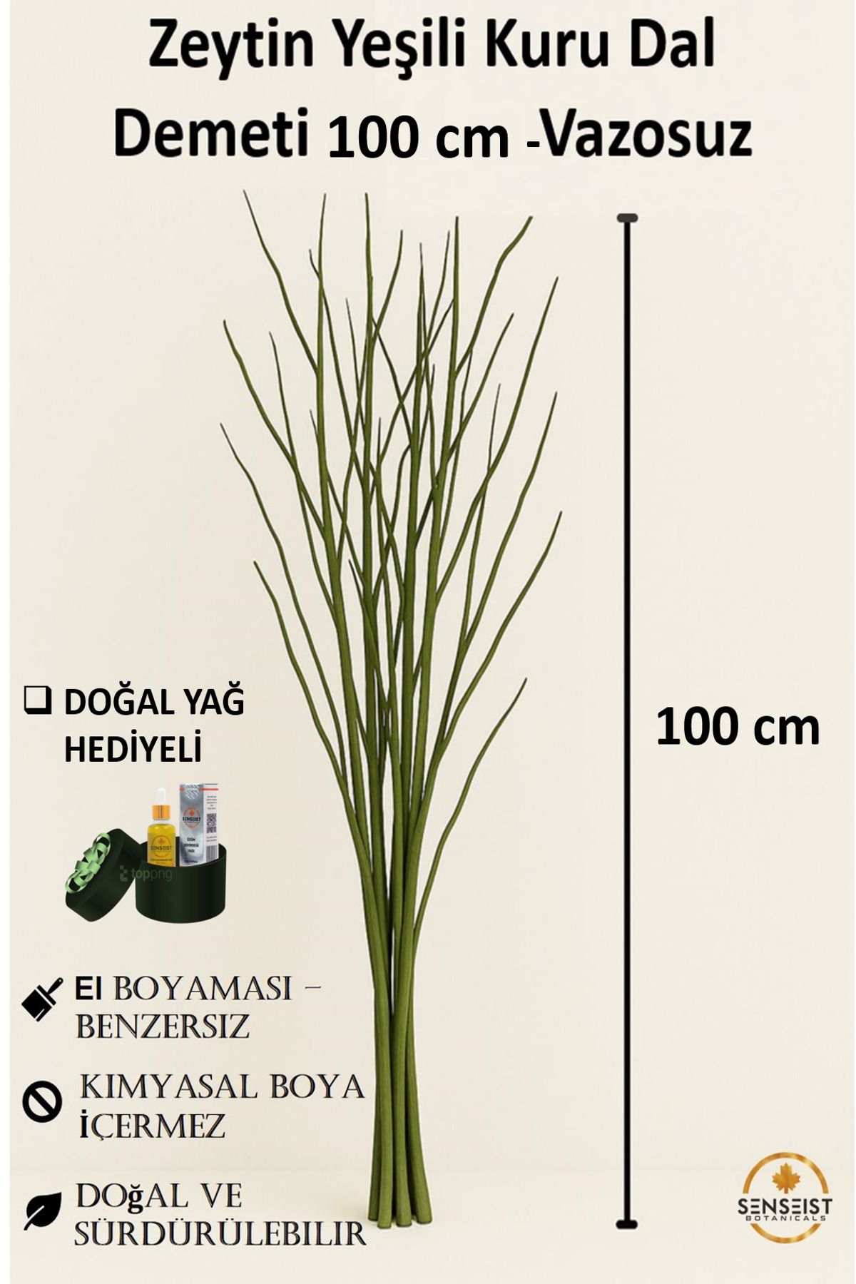 Senseist Botanicals Gerçek Kurutulmuş Ağaç Dalı Demeti | Yeşil El Boyaması | 100 cm | Doğal Dekoratif Kuru Dal