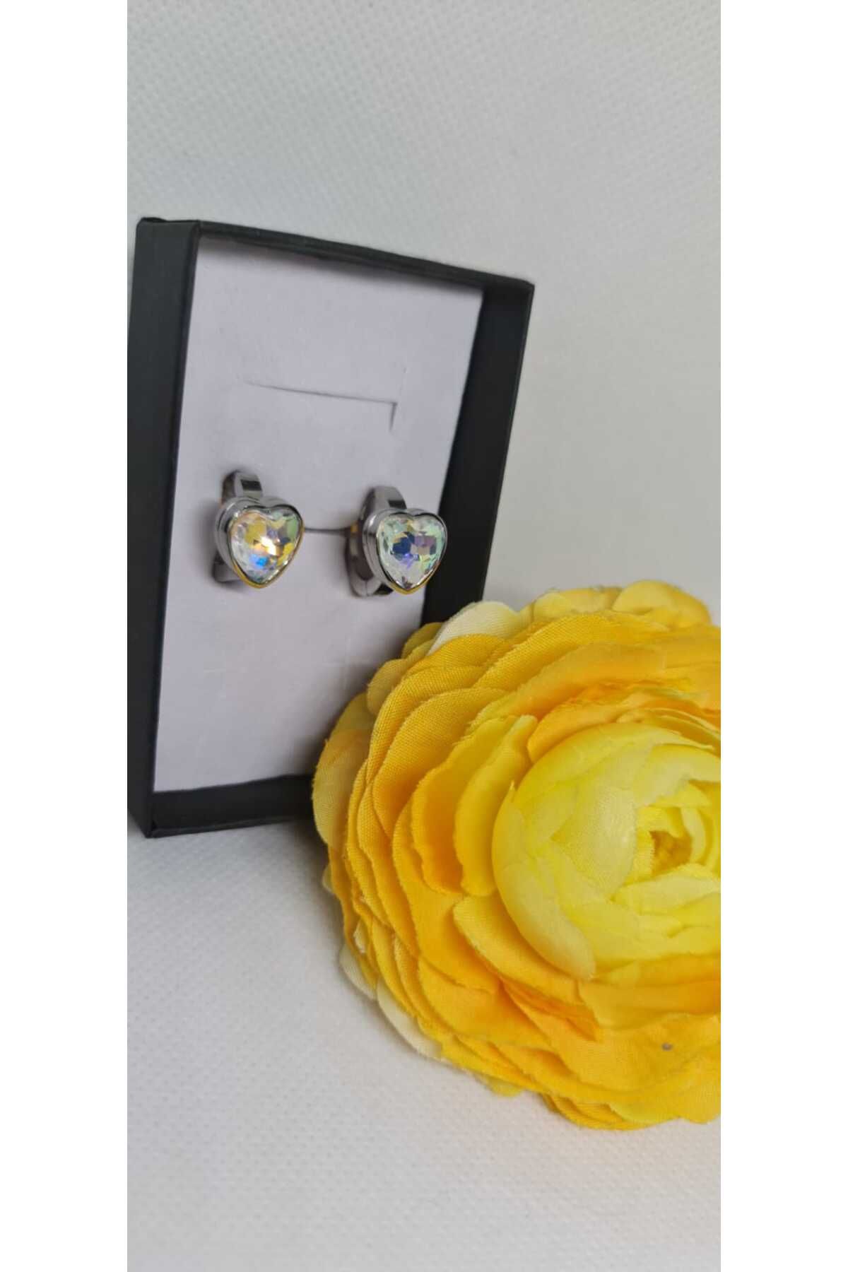 Store 316L Zirkon Taşlı Kalp Temalı Paslanmaz Çelik Küpe