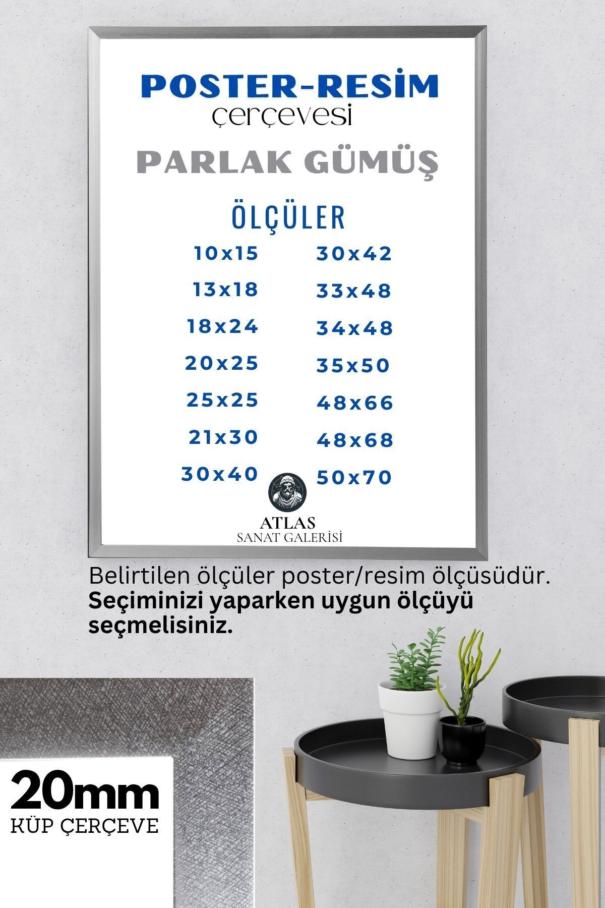 ASG Poster Resim Belge Resim Çerçevesi PVCli Postersiz Resimsiz Gümüş Çerçeve