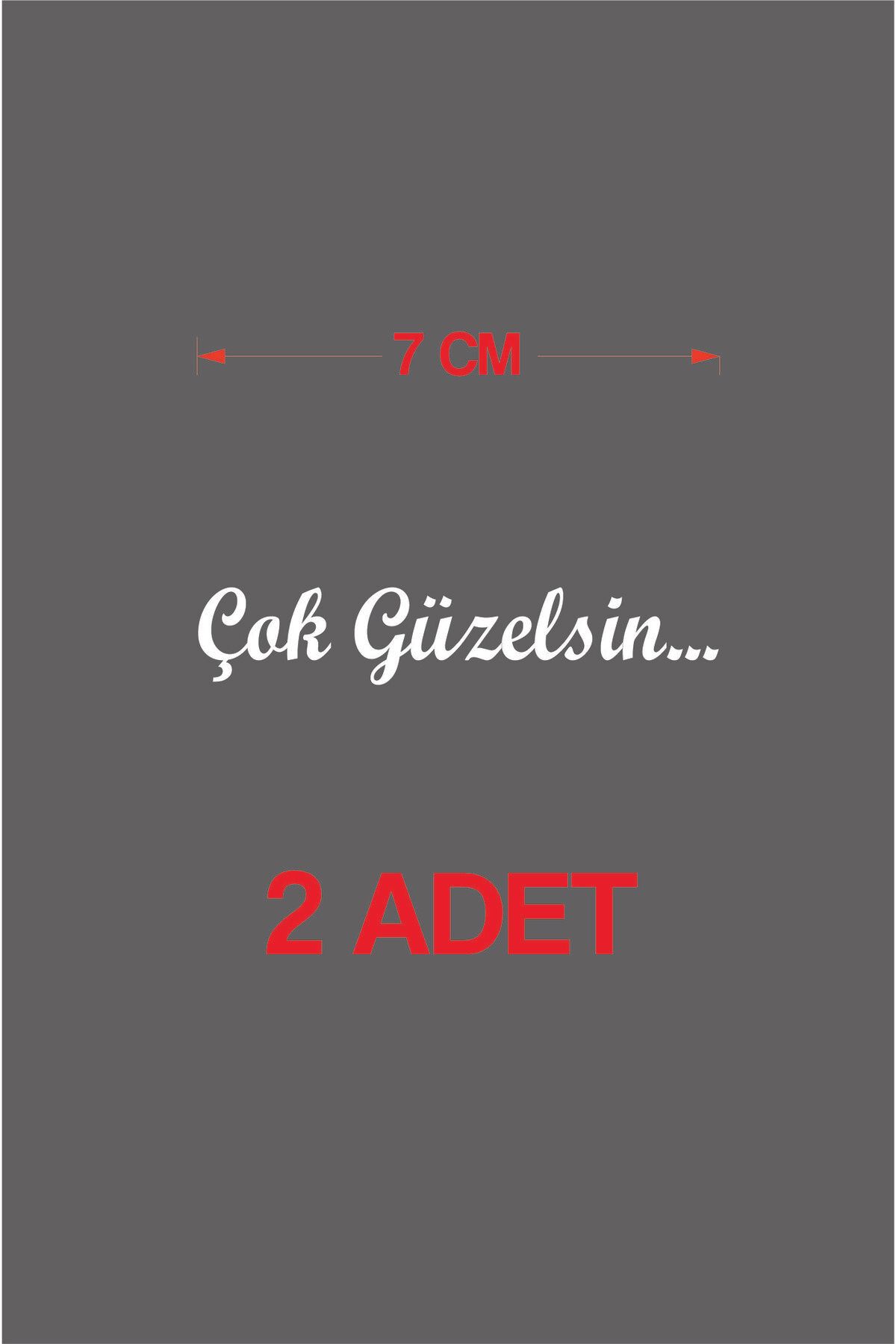 Axion Garage Çok Güzelsin Sticker 2 ADET 7X1,5 CM