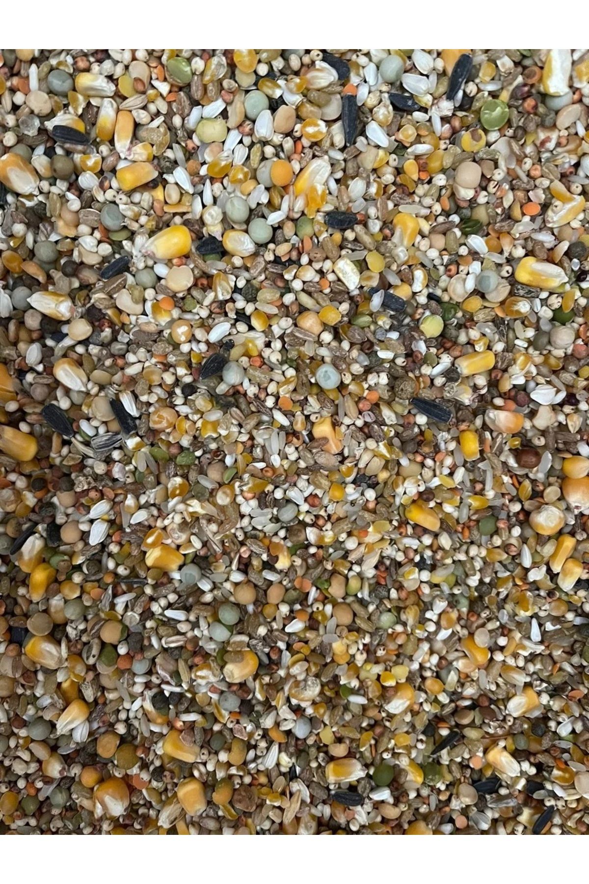 BADETİCARET GÜVERCİN YEMİ KARIŞIK ULTRA LÜX 5KG