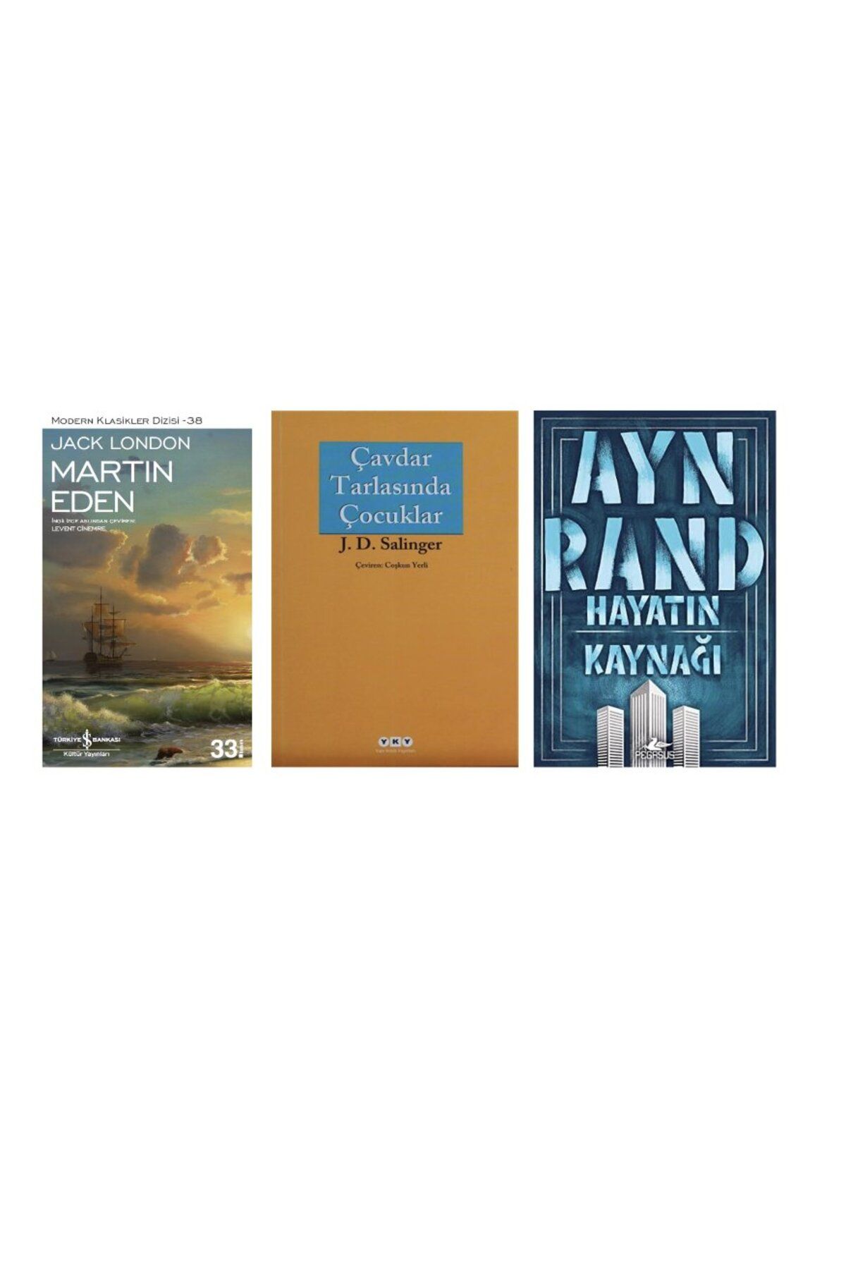TÜRKİYE İŞ BANKASI KÜLTÜR YAYINLARI martin eden + cavdar tarlasinda cocuklar + hayatin kaynagi = 3 set