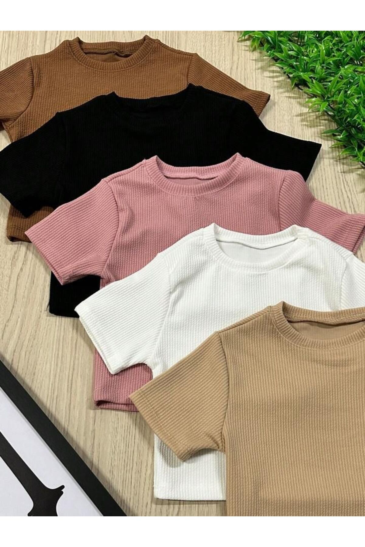 ÖZ PAMUK Kadın 5 li Adet Fitilli Bisiklet Yaka Kaşkorse Crop T-SHİRT