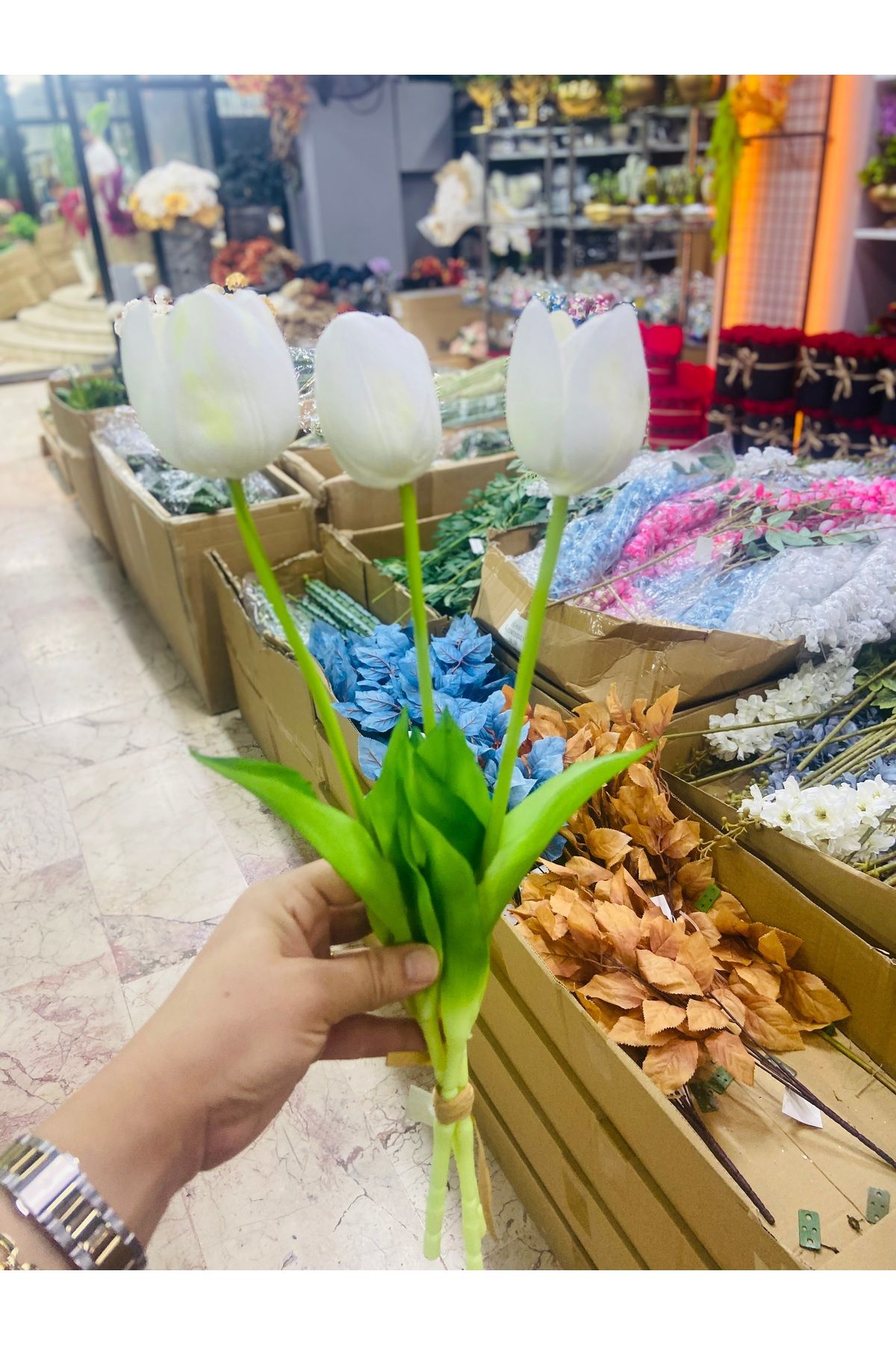PERİ Beyaz ıslak lale üçlü