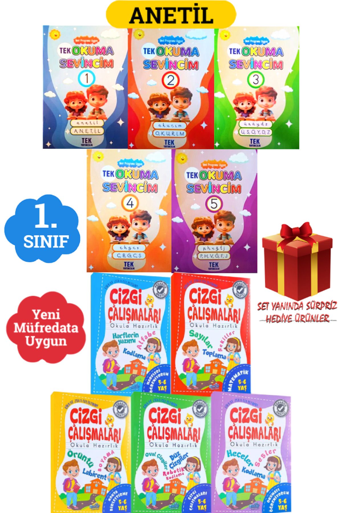 Altınpost Yayınları 1. Sınıf ANETİL Yeni Müfredat Tek Okuma Sevincim+ Çizgi Çalışmaları 5 Kitap+ Hediye