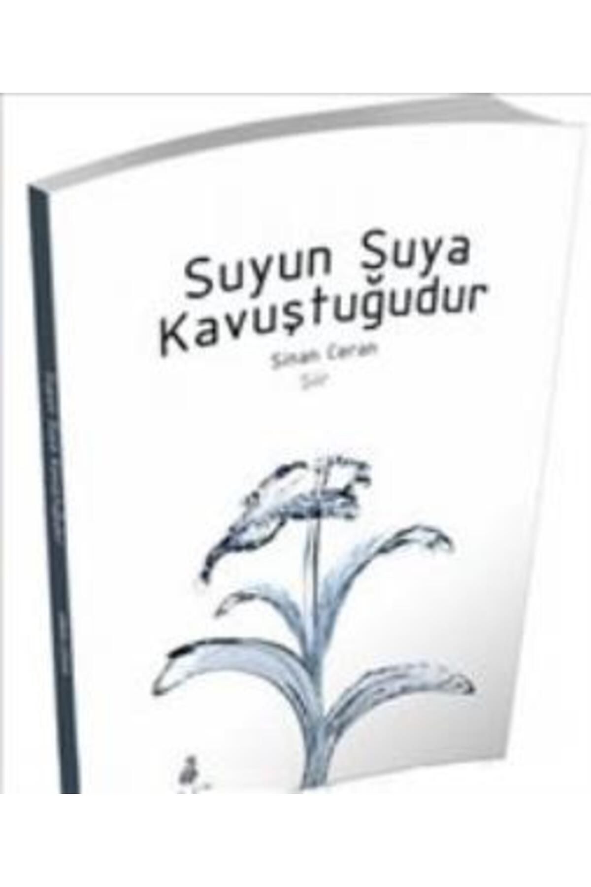 Ekin Yayınları Suyun Suya Kavuştuğudur