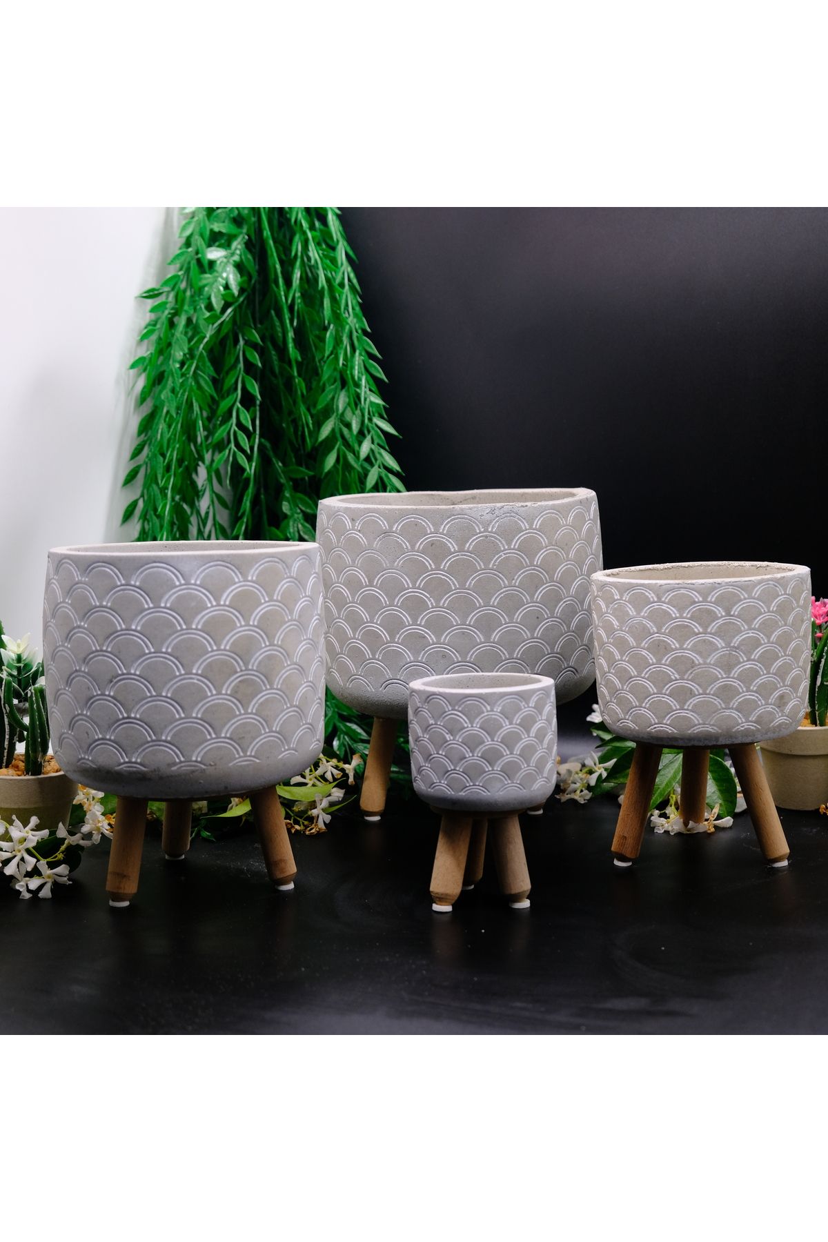 BGGdekor Midye Desenli dekoratif BETON SAKSI