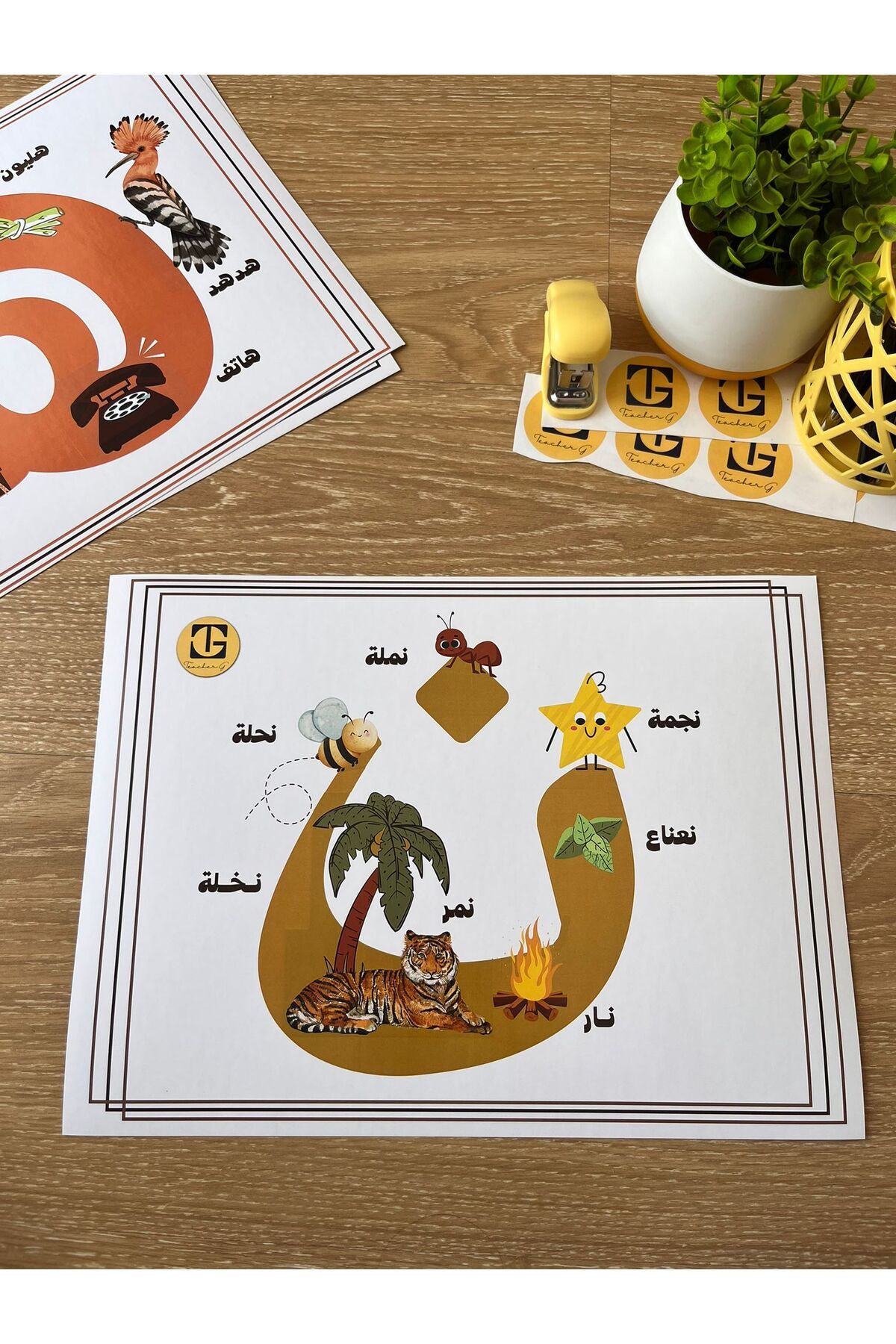 Teacherg game Nûn Harfi – Görselli Arapça Eğitim Posteri – (Kelime ve Görsel) (16,5x24cm) 1 adet