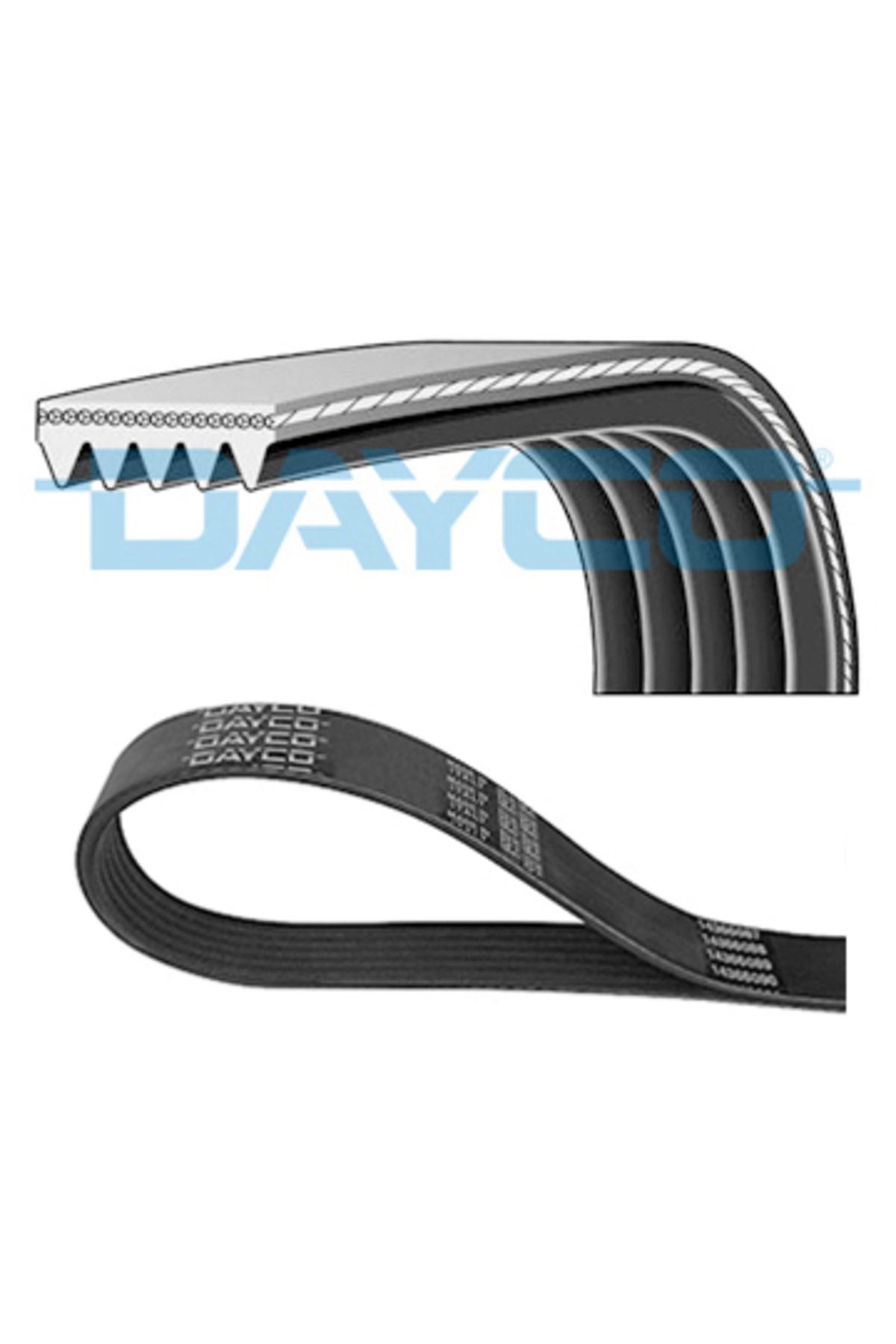 DAYCO KANALLI KAYIŞ