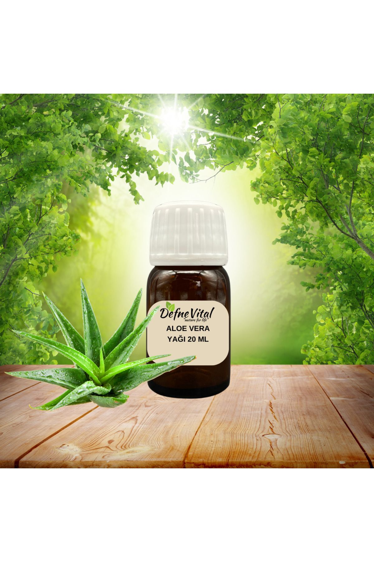 DEFNE VİTAL ALOE VERA YAĞI 20 ML
