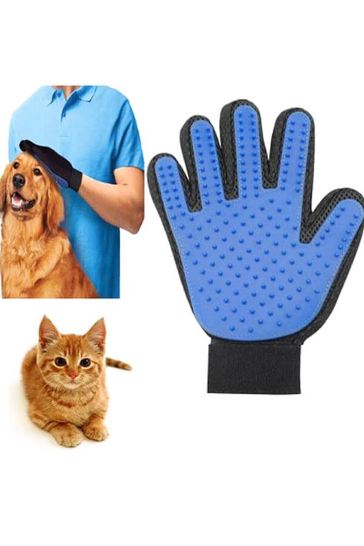 teknotrust Mavi Köpek ve Kedi Tüy Toplama Eldiveni, kolay ve etkili temizlik sağlar.